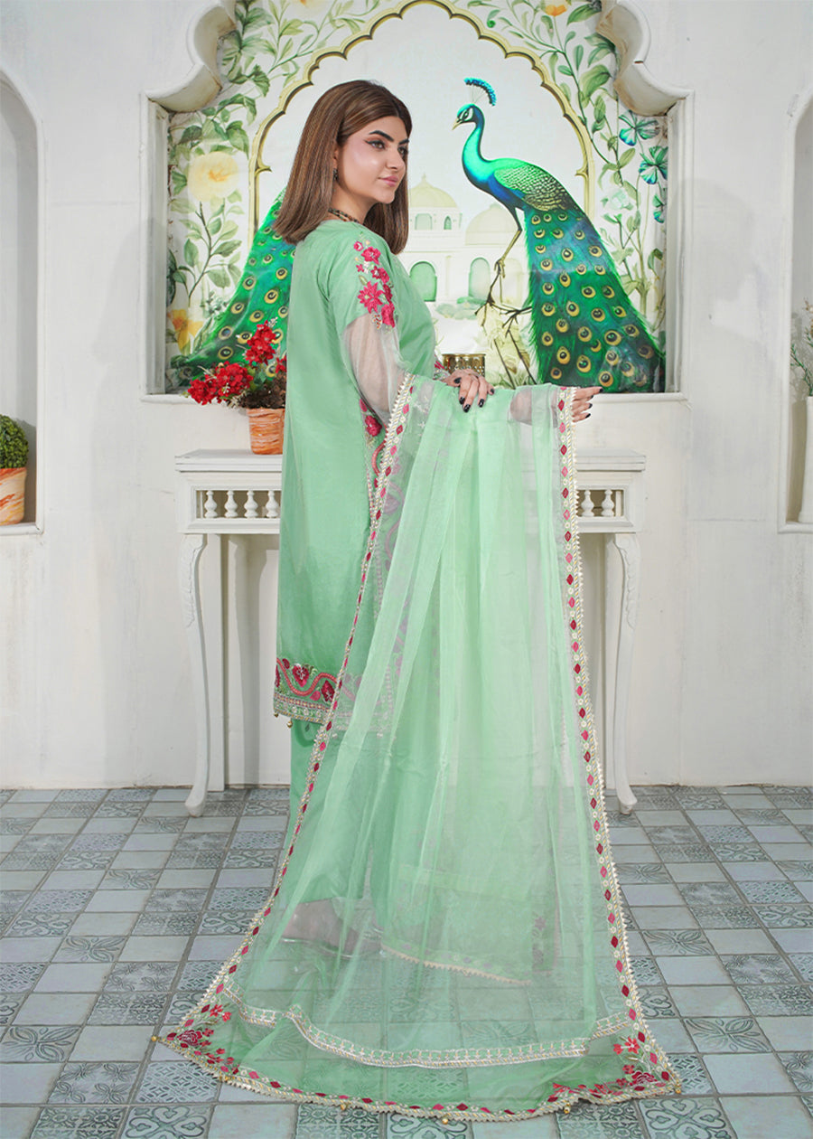 organza Kurta Set in Meadow green