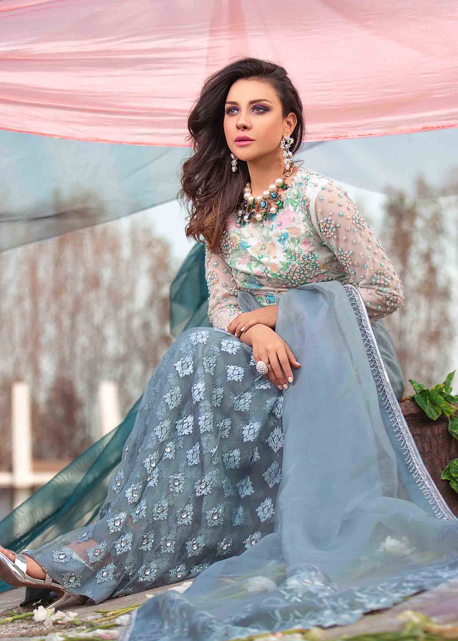 net Saree in Ash grey
