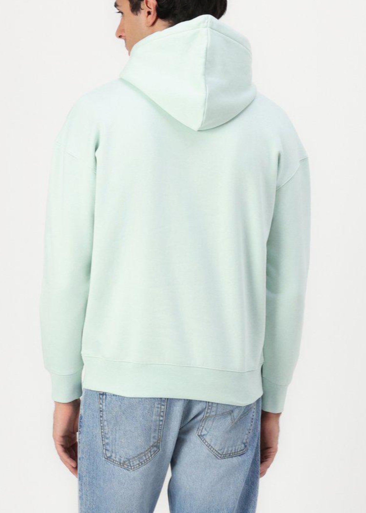 fleece Hoodie in Tea green