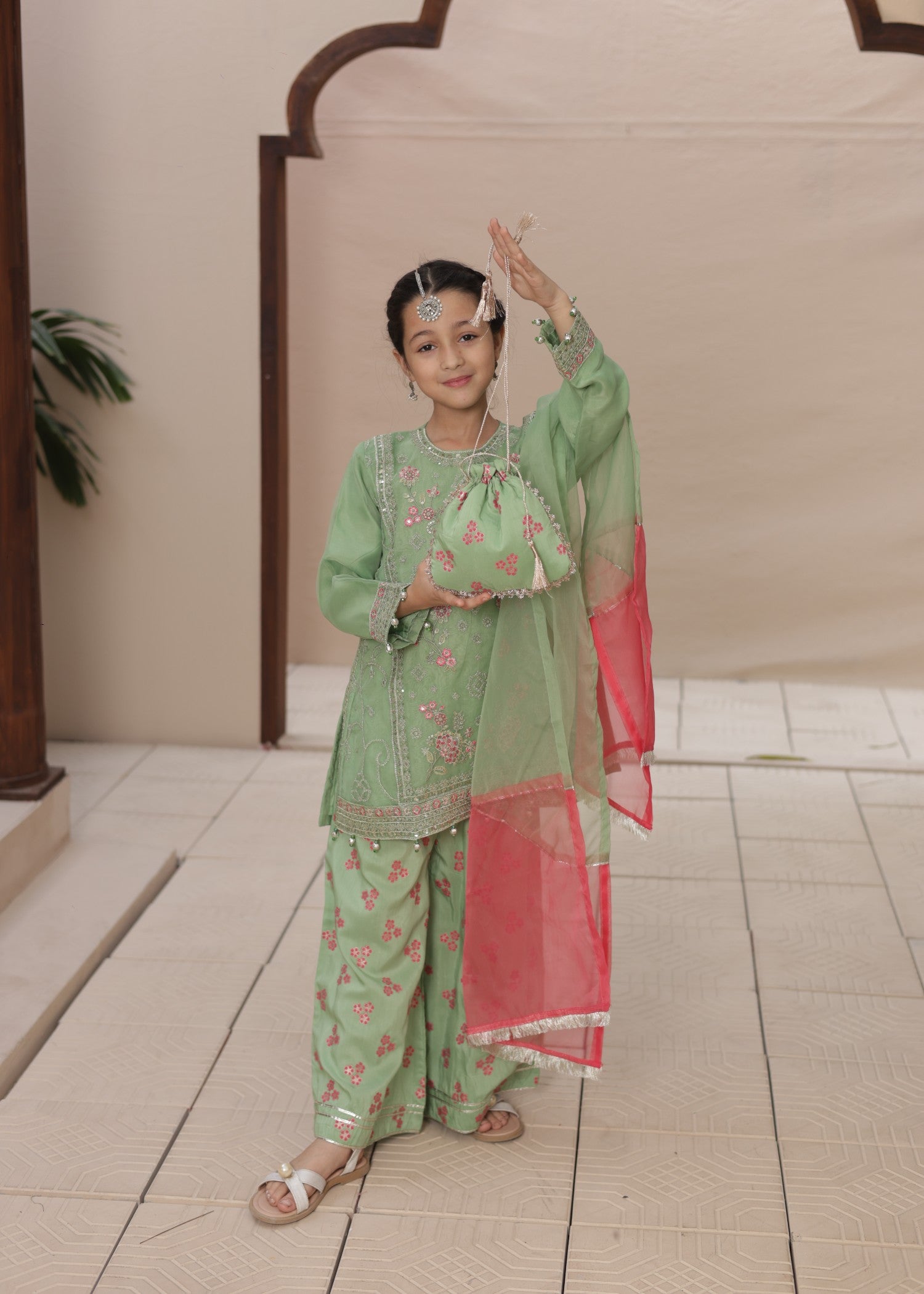 organza Kurta Set in Tea green