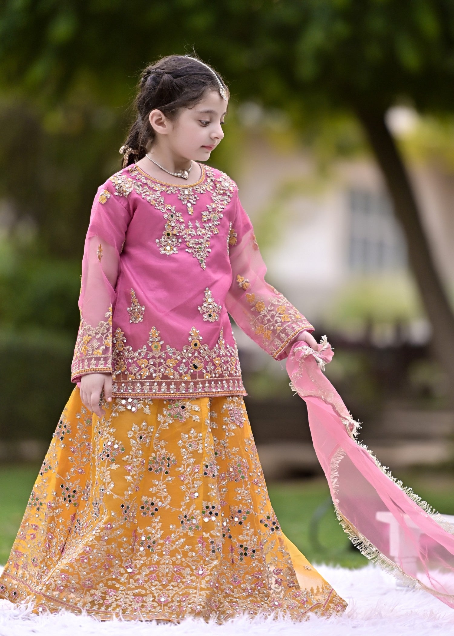 organza Lehenga in Multi