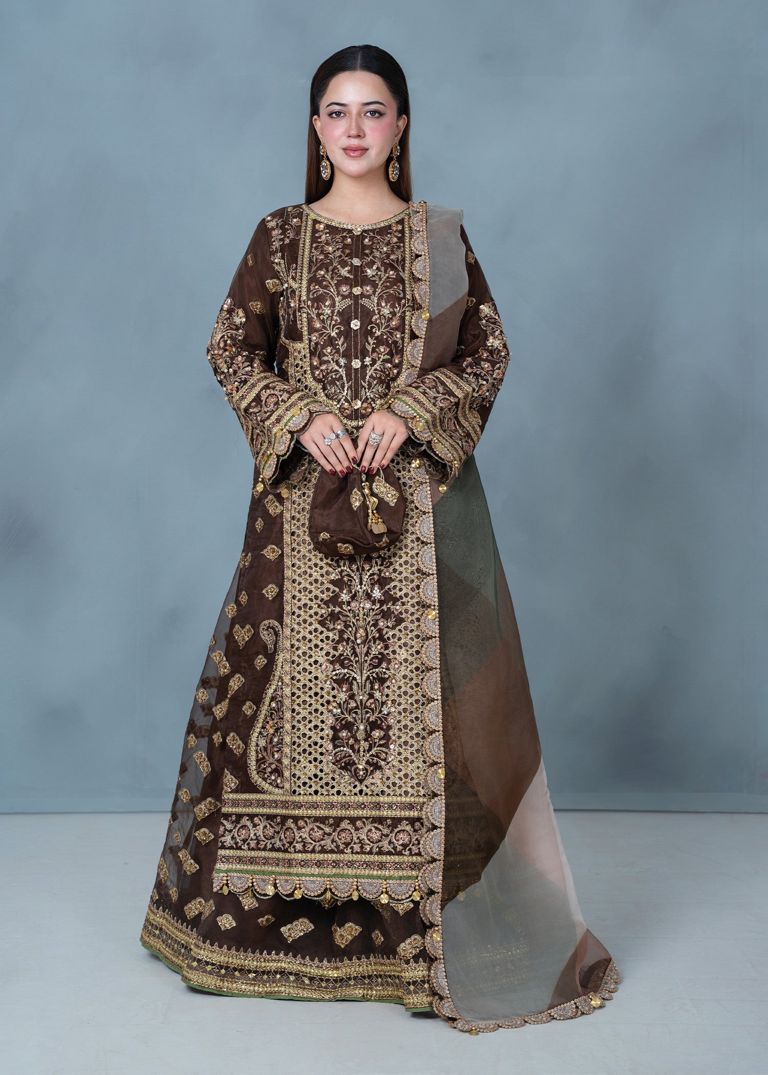 organza Lehenga in Brown