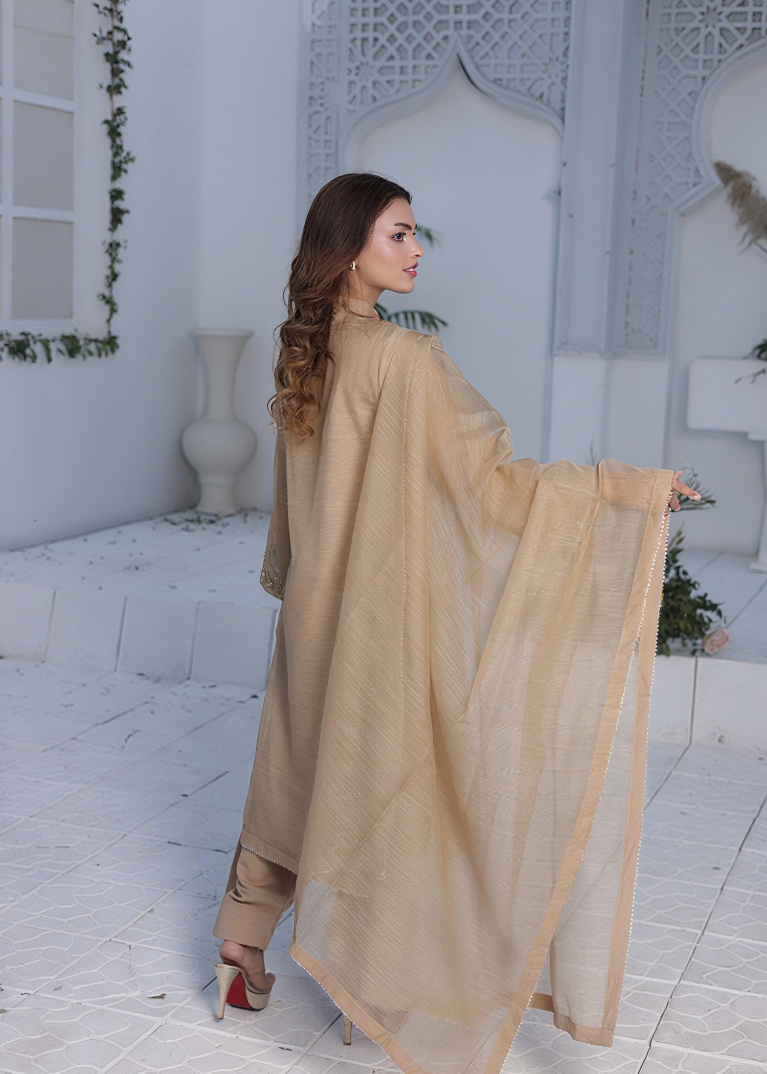 organza net Kurta Set in Tan brown