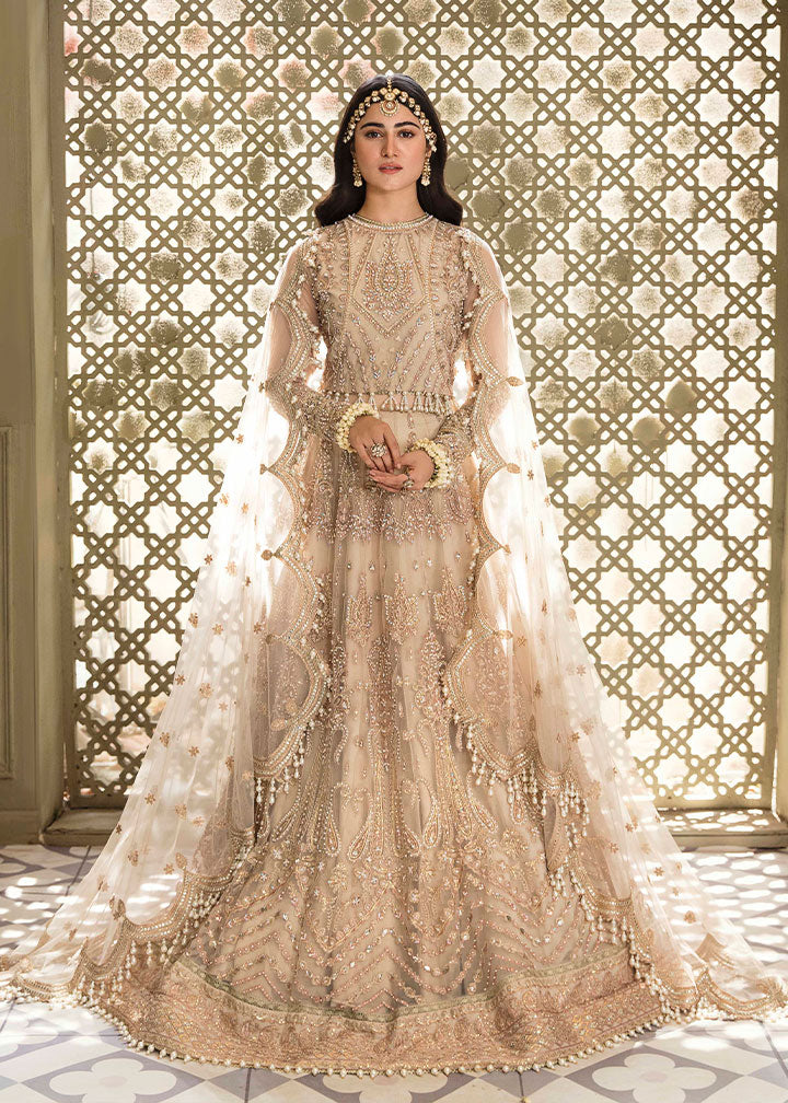 net Lehenga in Beige