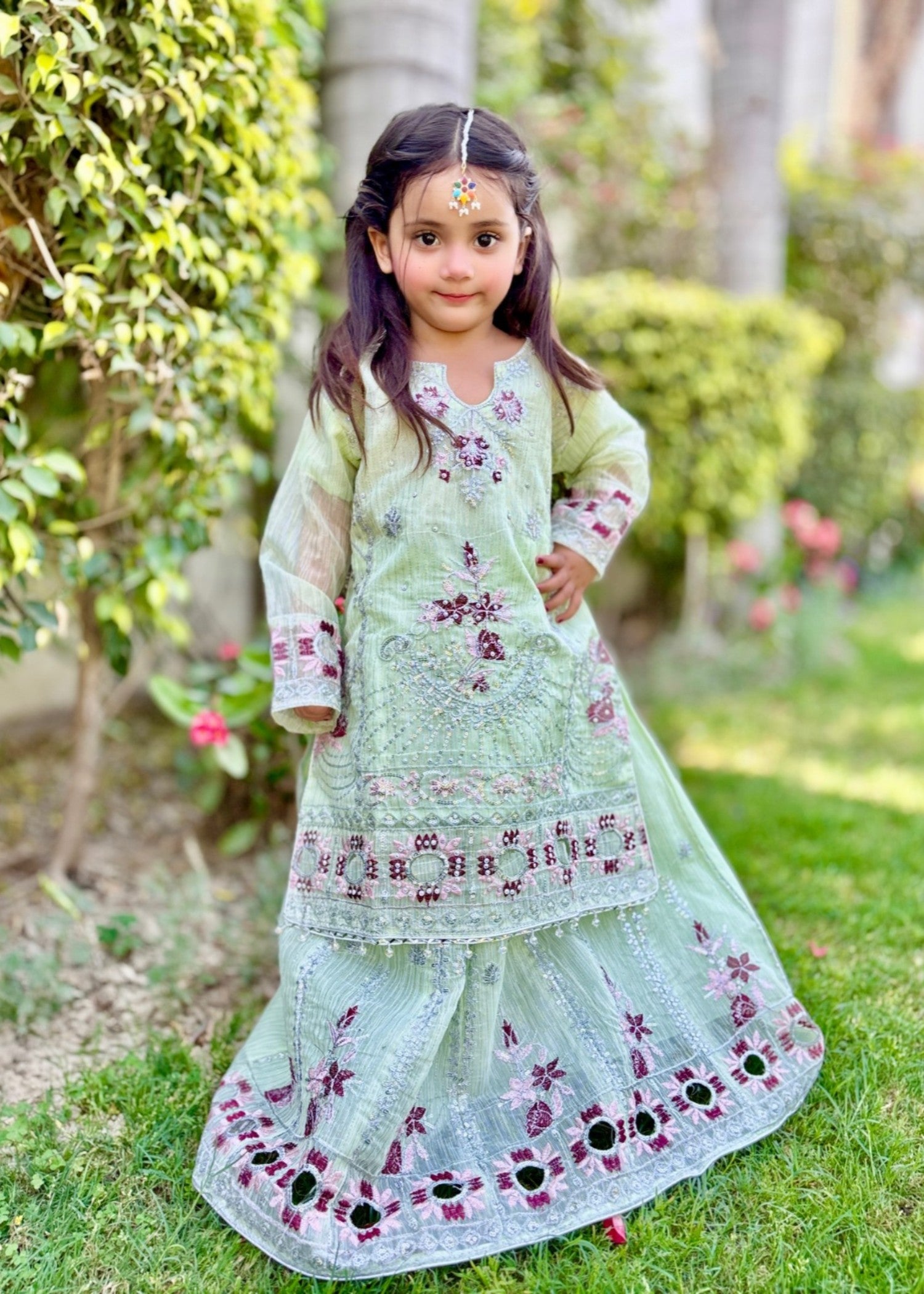 organza Lehenga in Tea green