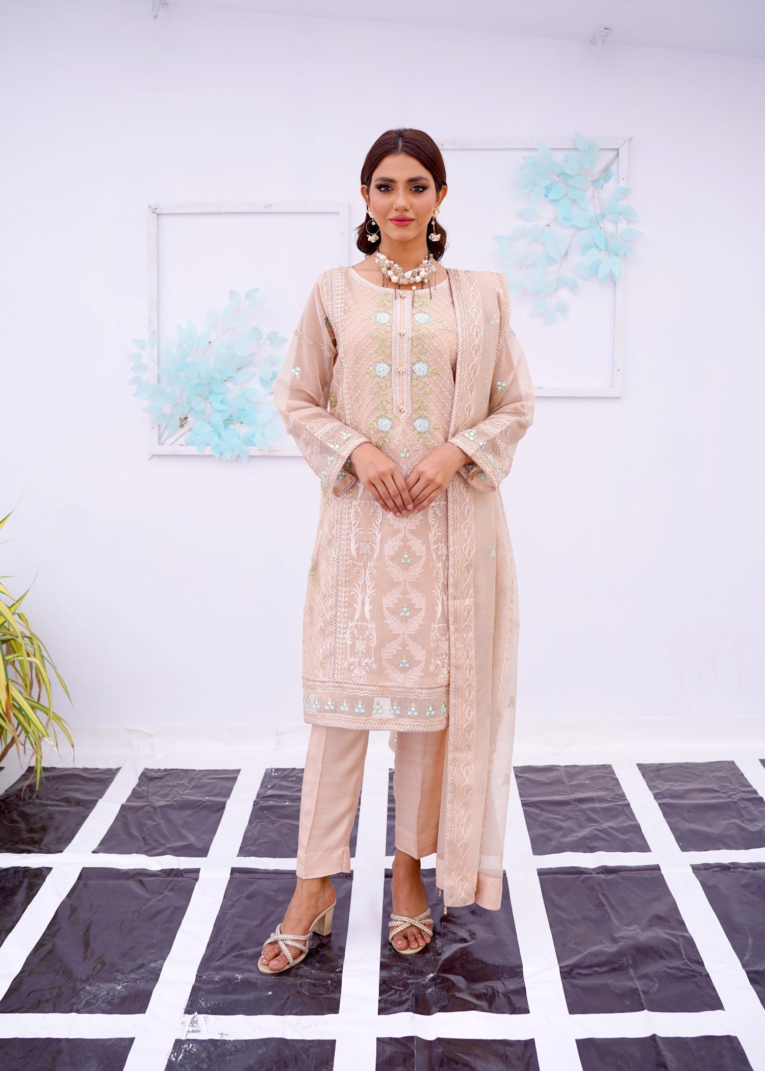 organza net Kurta Set in Beige