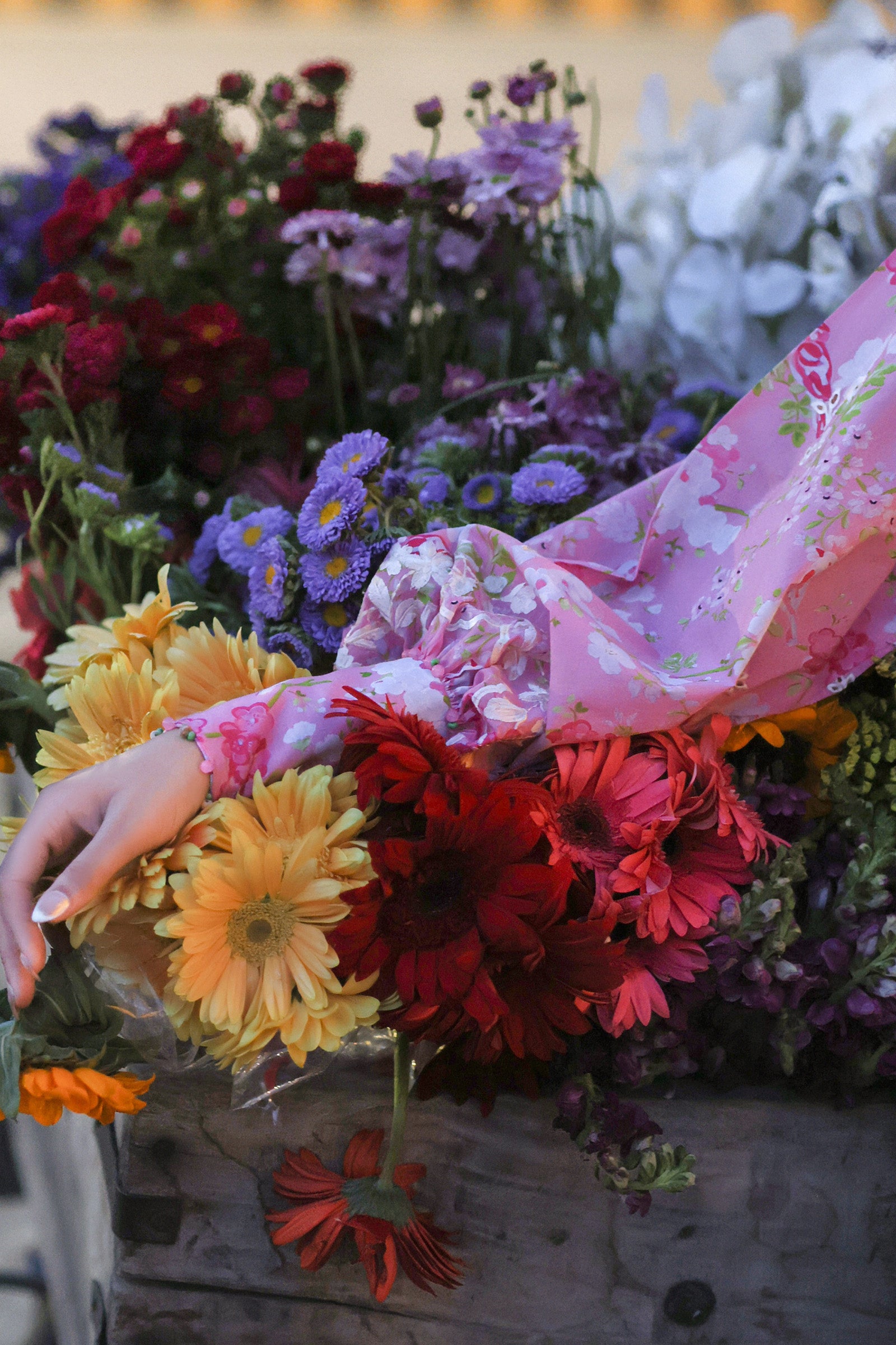 Festive Luxury Lawn – Peony Reverie (Z-03)