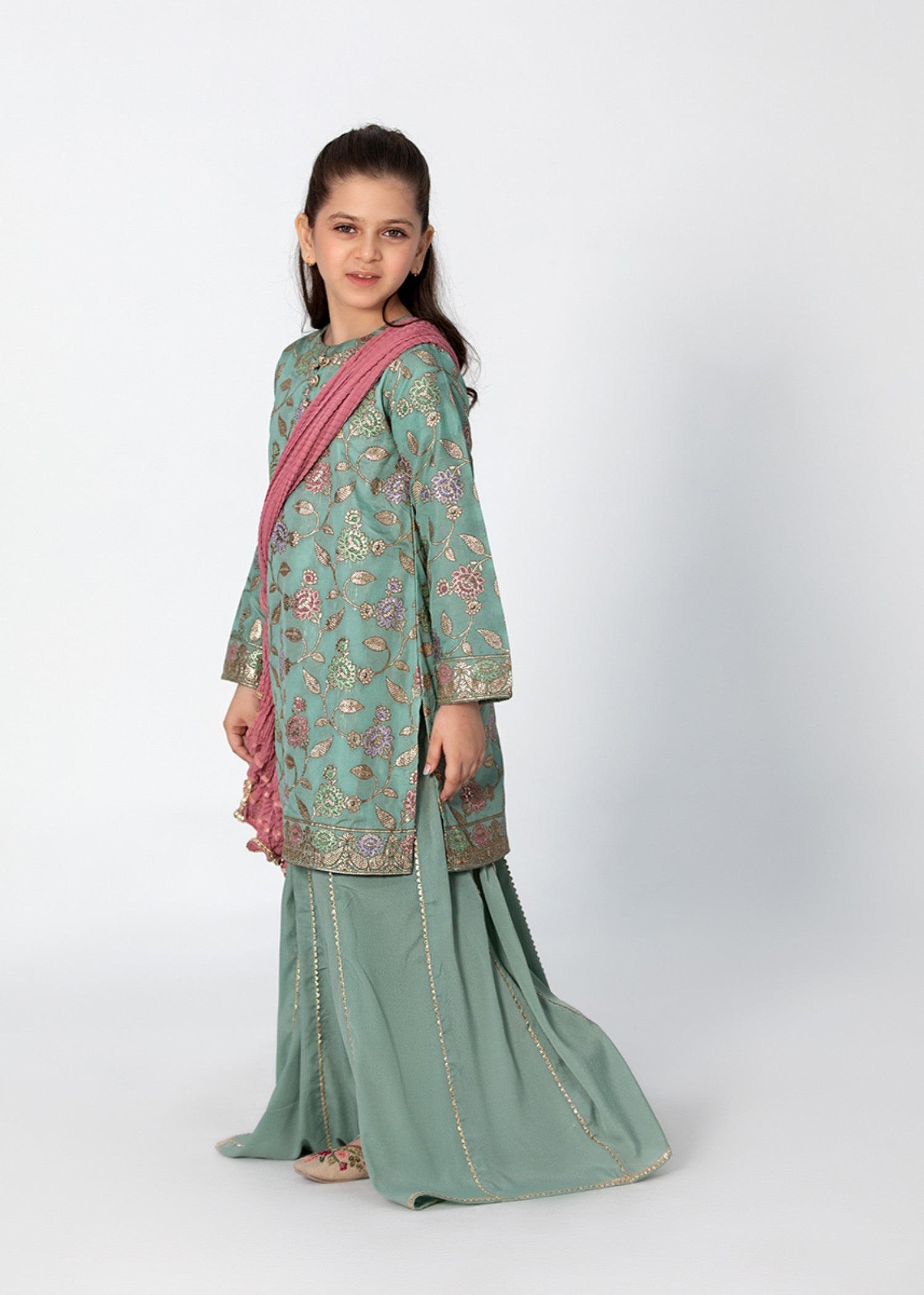 banarasi resham silk Sharara in Pastel green