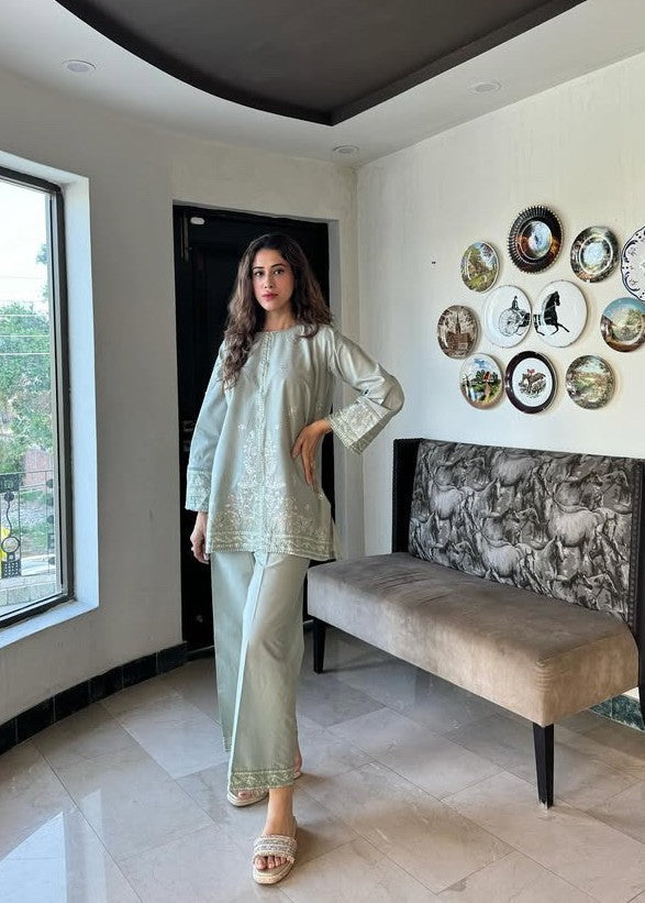 dhanak Kurta Set in Pastel green
