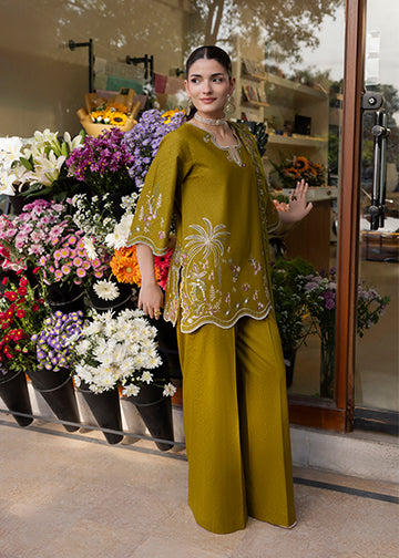 textured lawn Kurta Set in Olive green