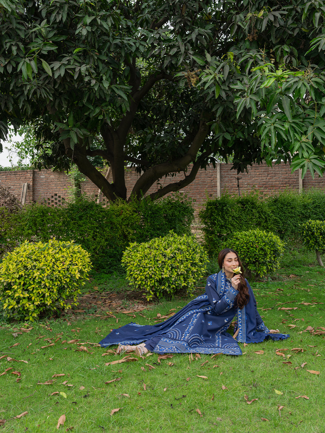 Amaya Lawn – MU-01