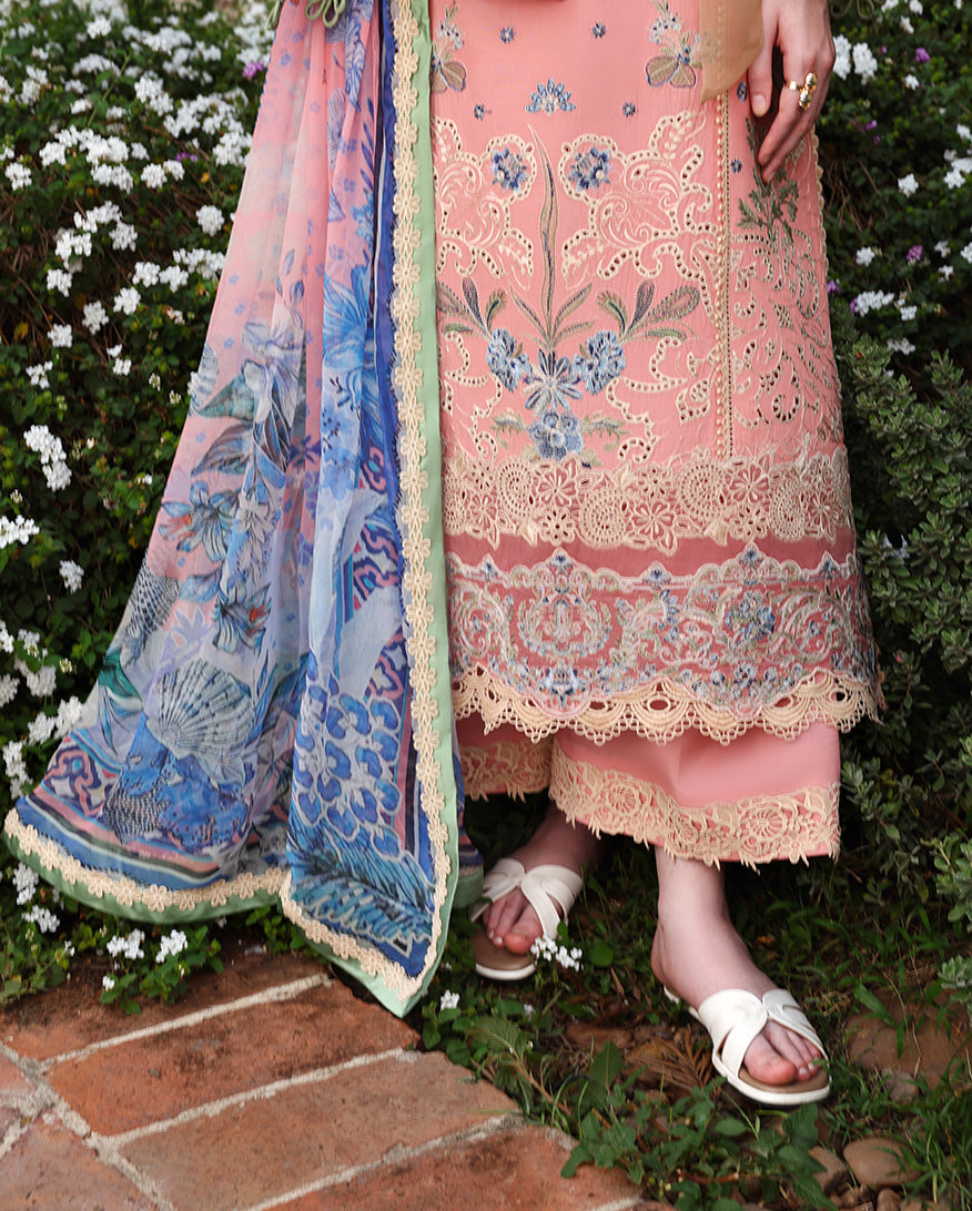 Belle Saison Lawn – Zelle