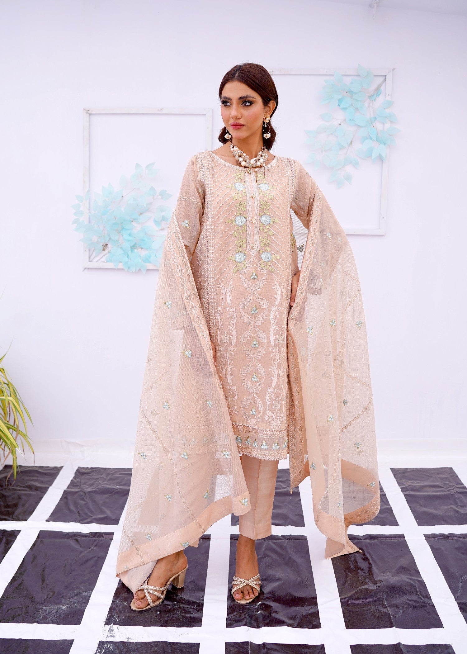 organza net Kurta Set in Beige