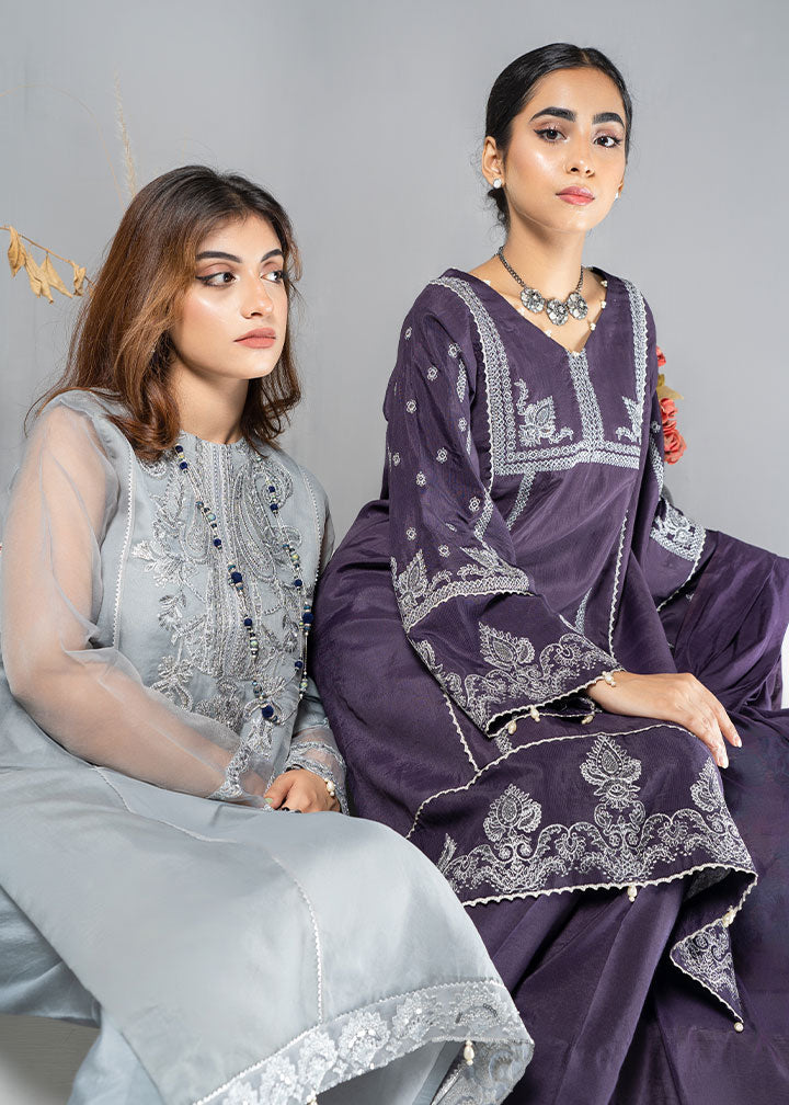 organza Kurta Set in Silver