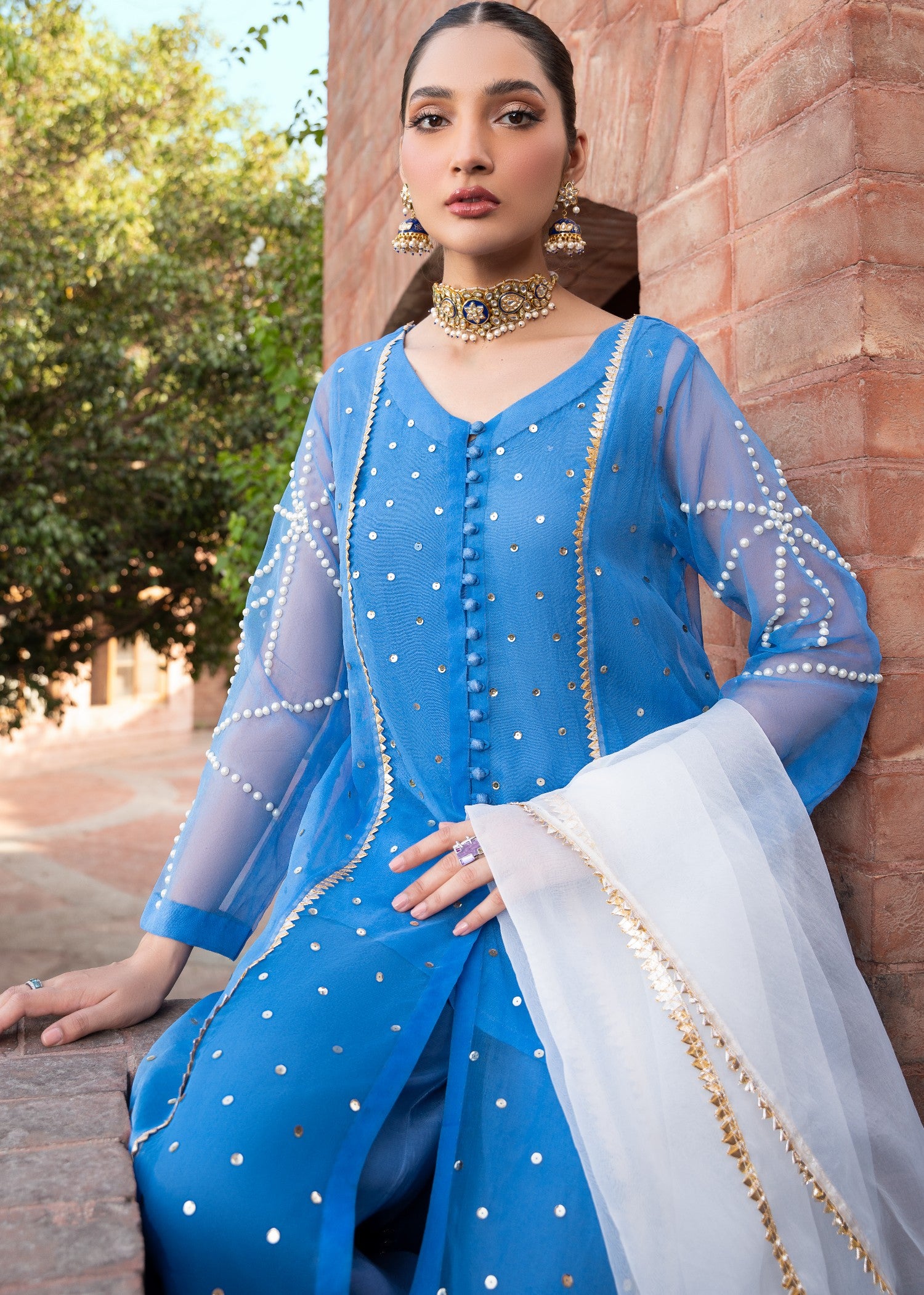 organza Gown in Blue