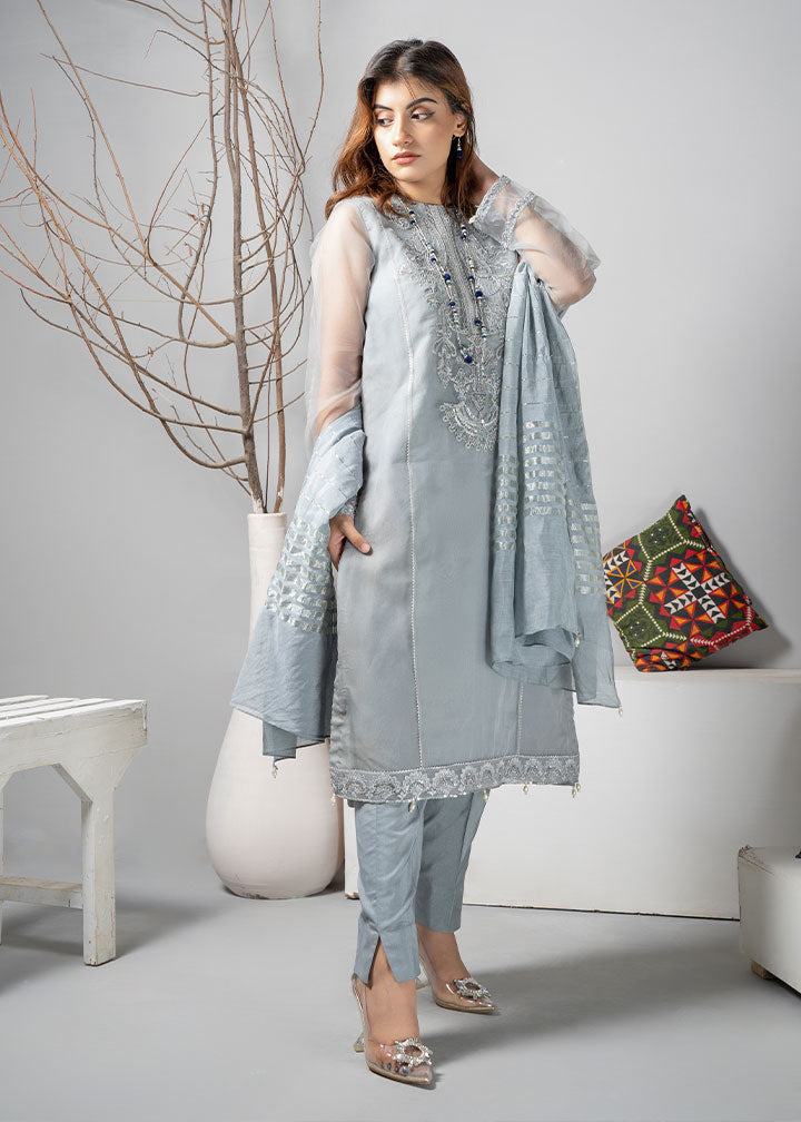 organza Kurta Set in Silver