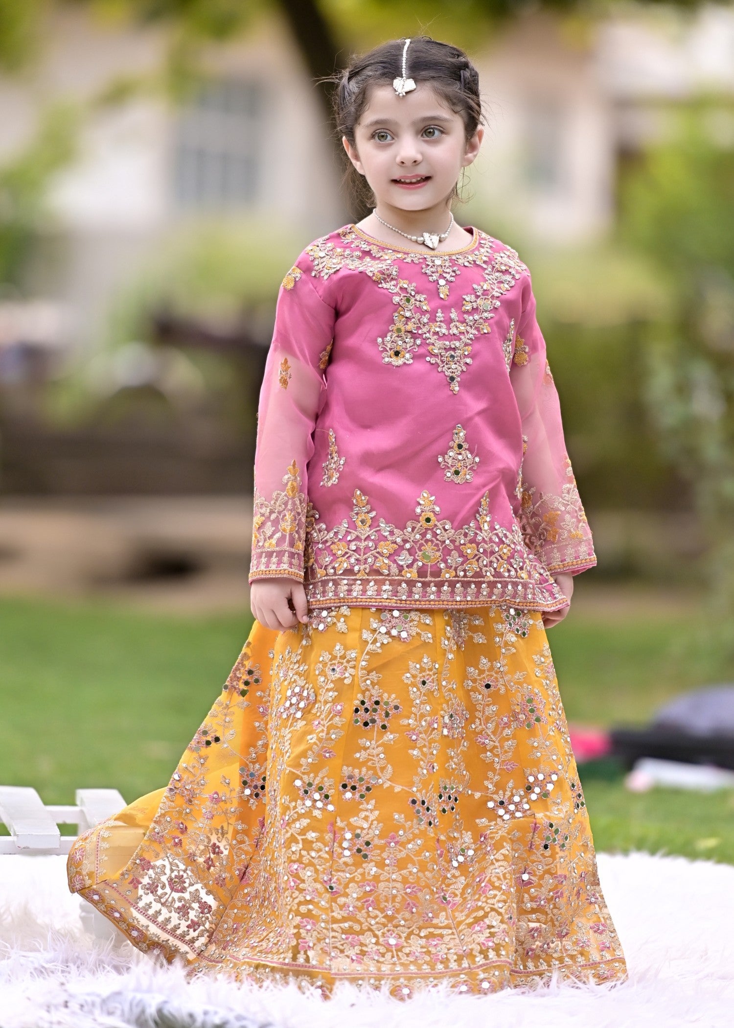 organza Lehenga in Multi