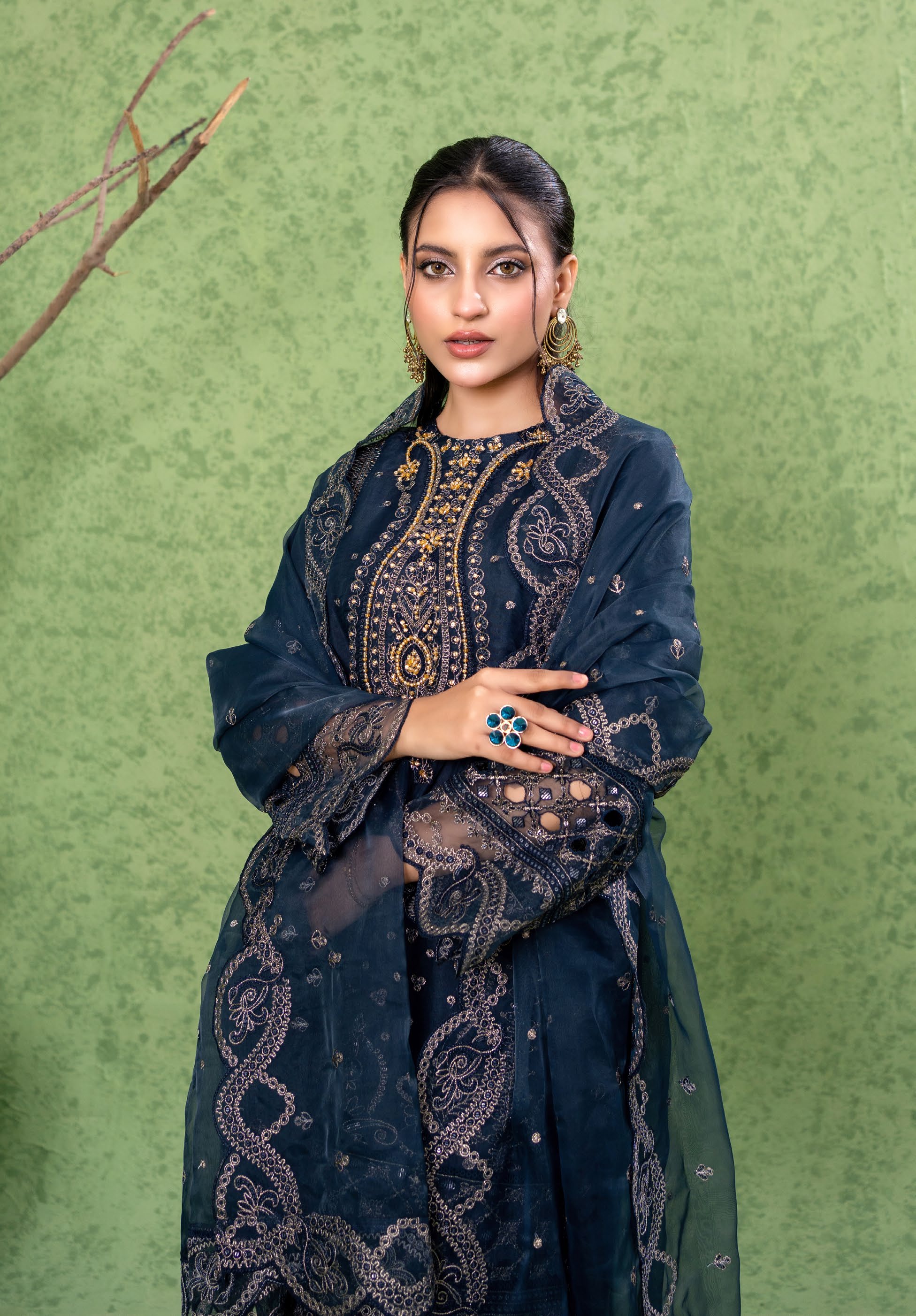Kahani Festive Pret Organza Formals – D-2