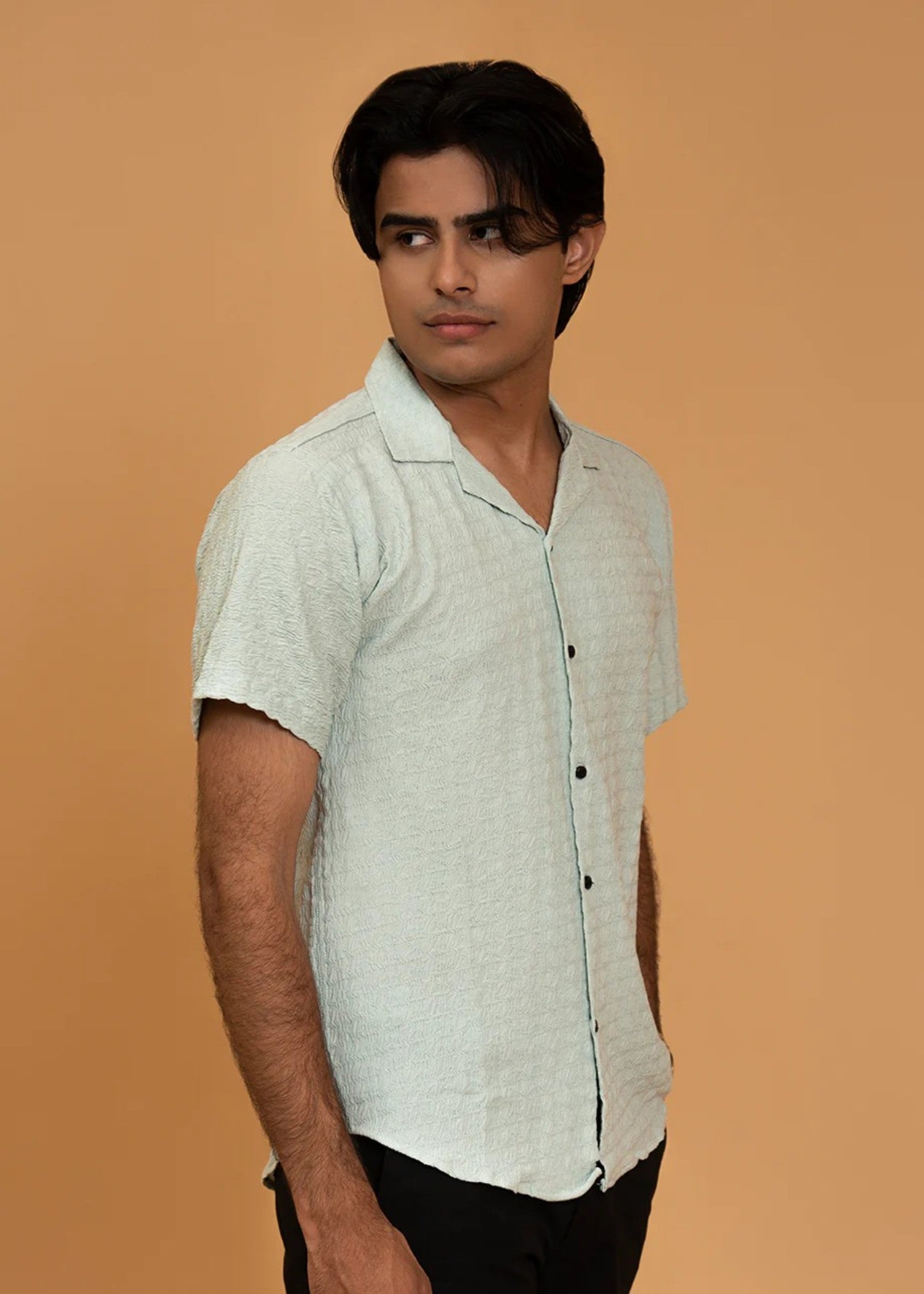 dobby Casual Shirt in Tea green