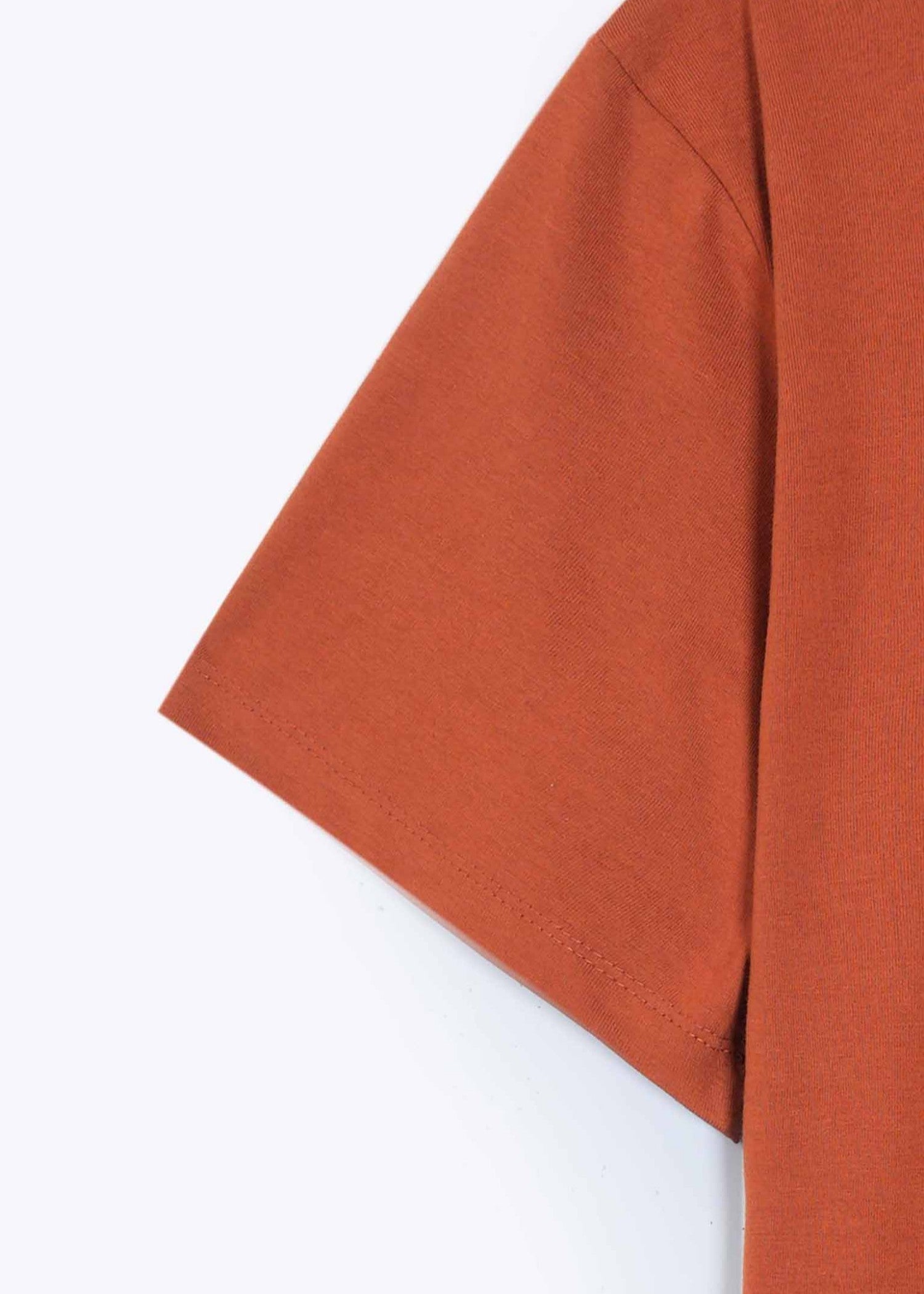 cotton T Shirt in Rust orange