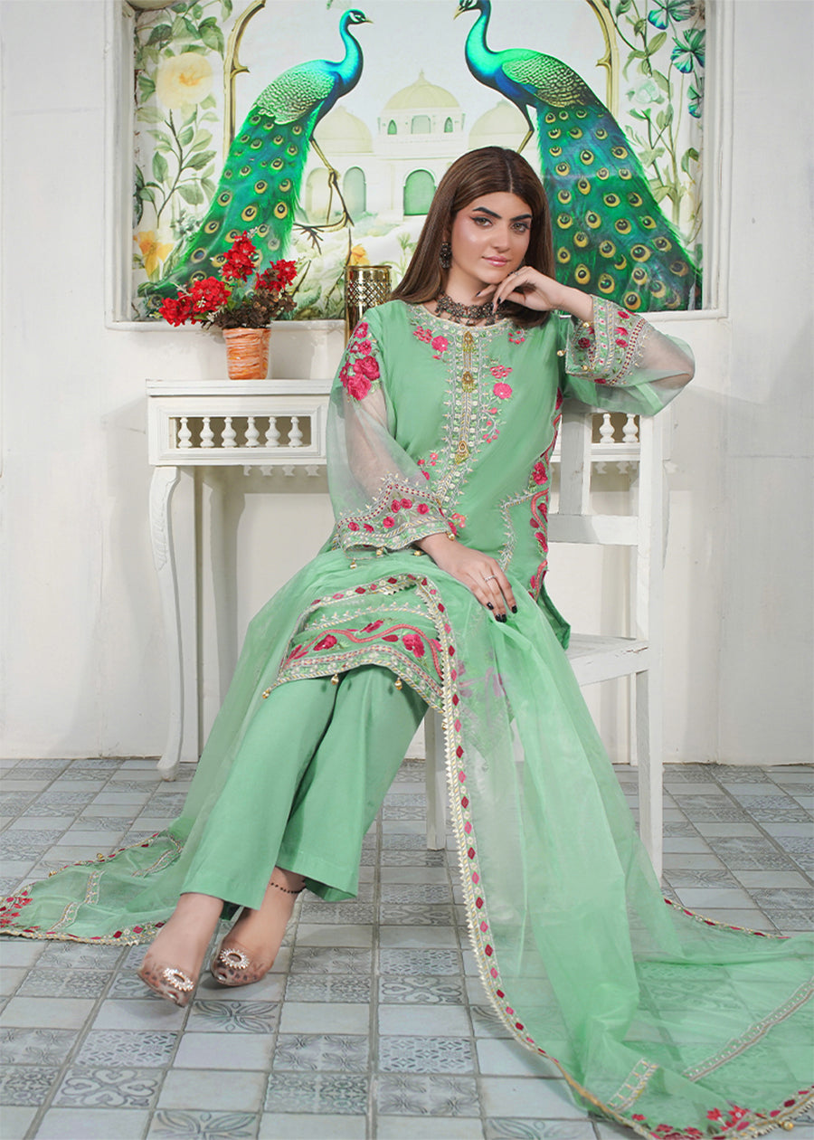 organza Kurta Set in Meadow green