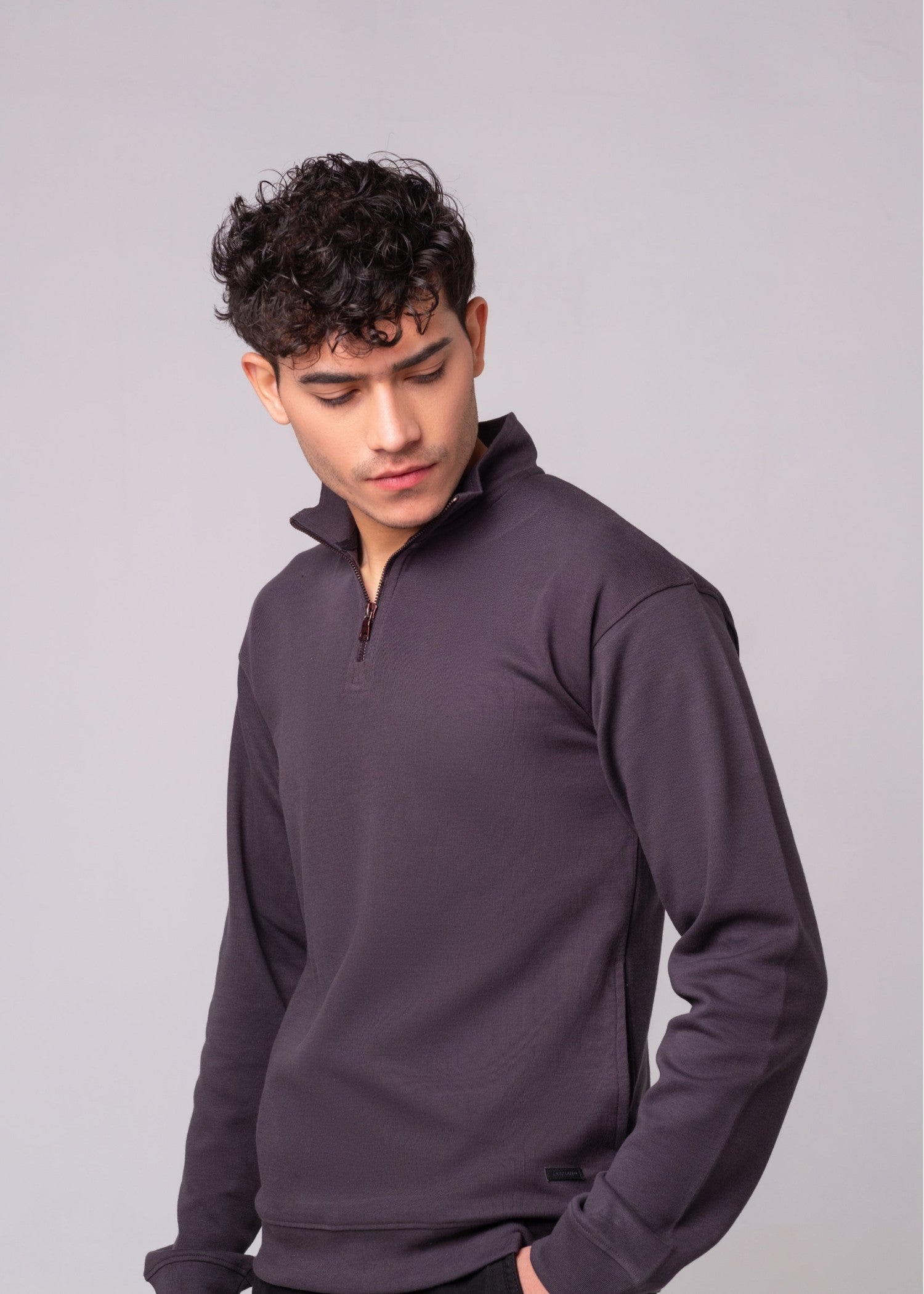 fleece Sweatshirt in Plum