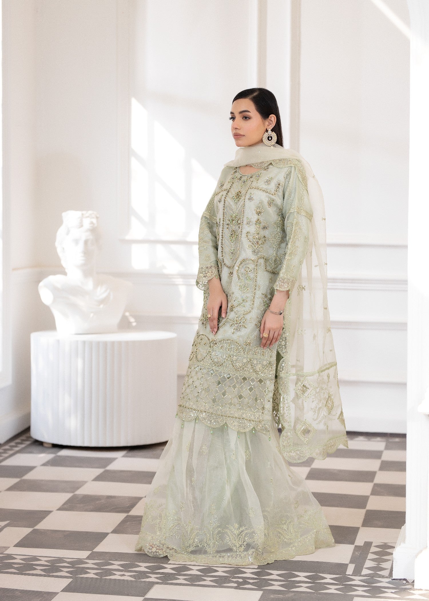 organza Sharara in Tea green