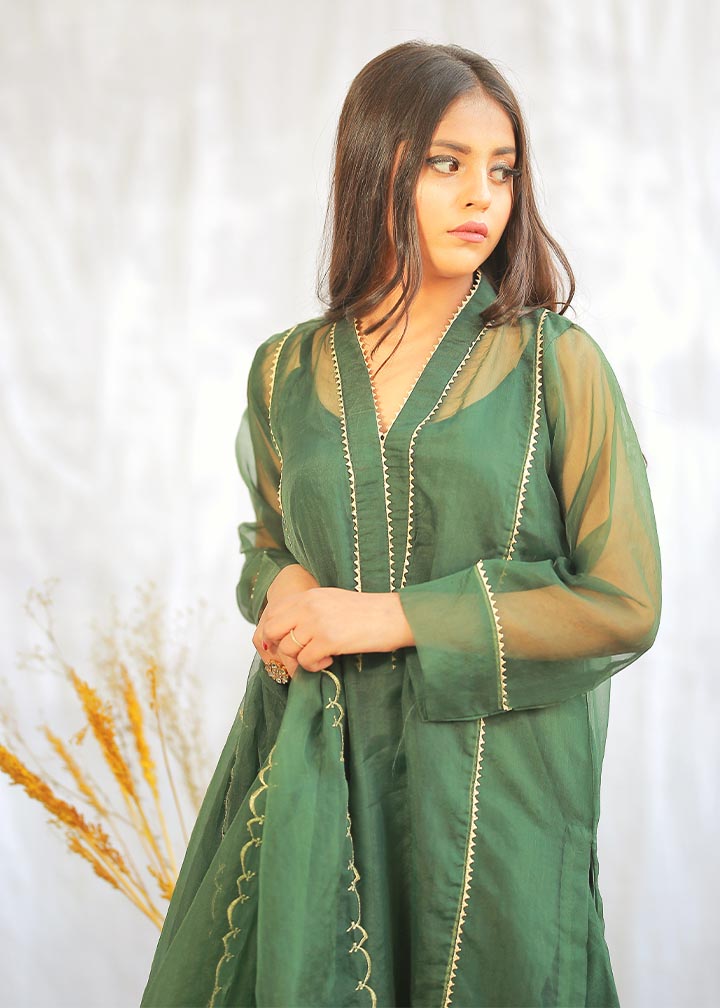 poly organza Kurta Set in Apple green