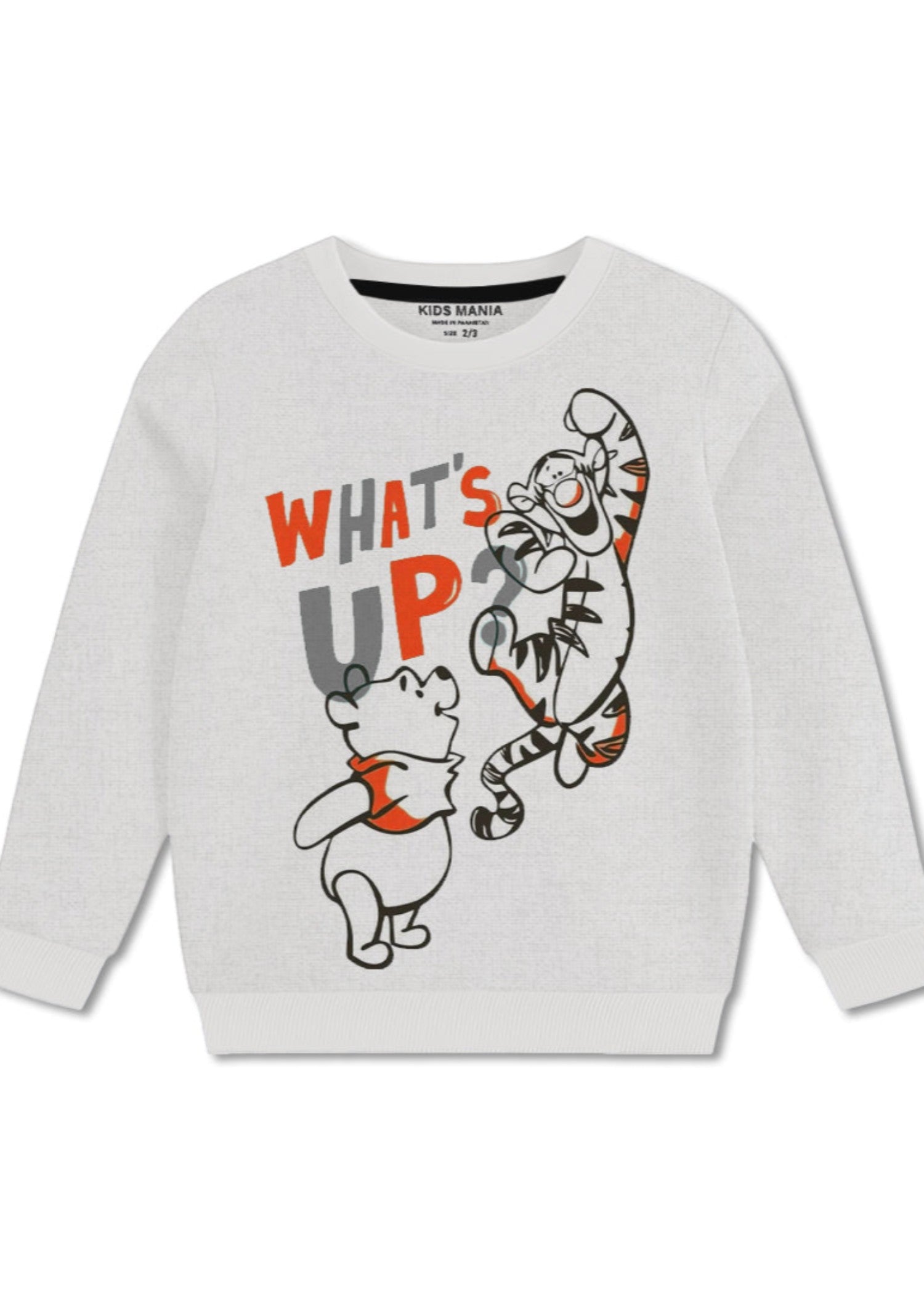fleece Sweatshirt in Light grey