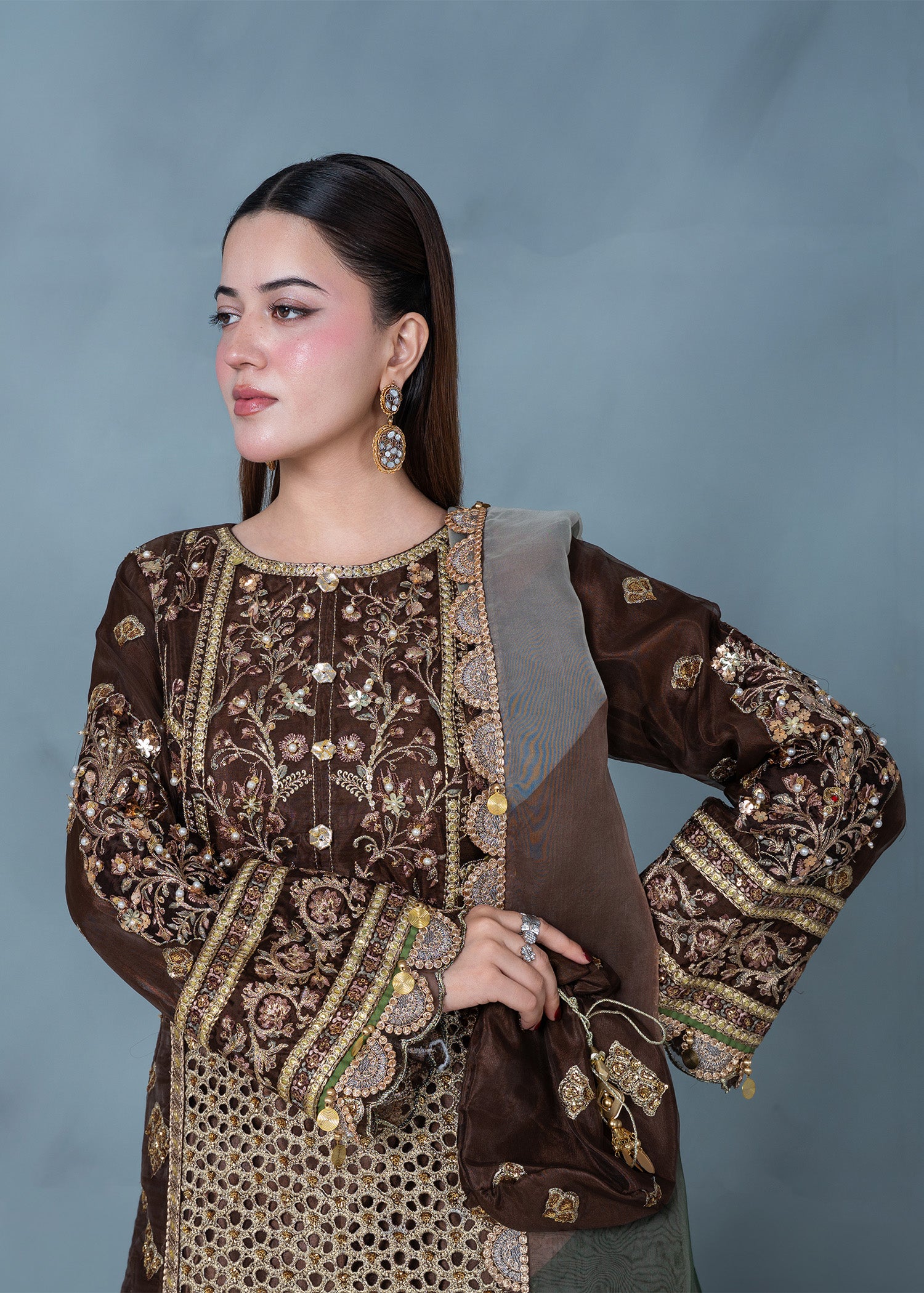 organza Lehenga in Brown