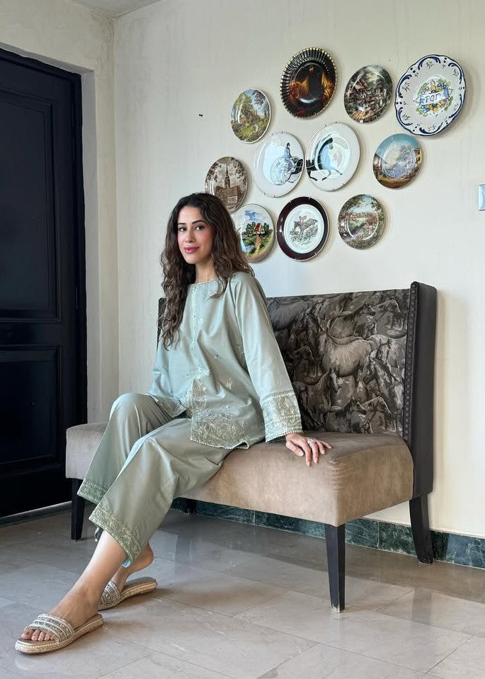 dhanak Kurta Set in Pastel green