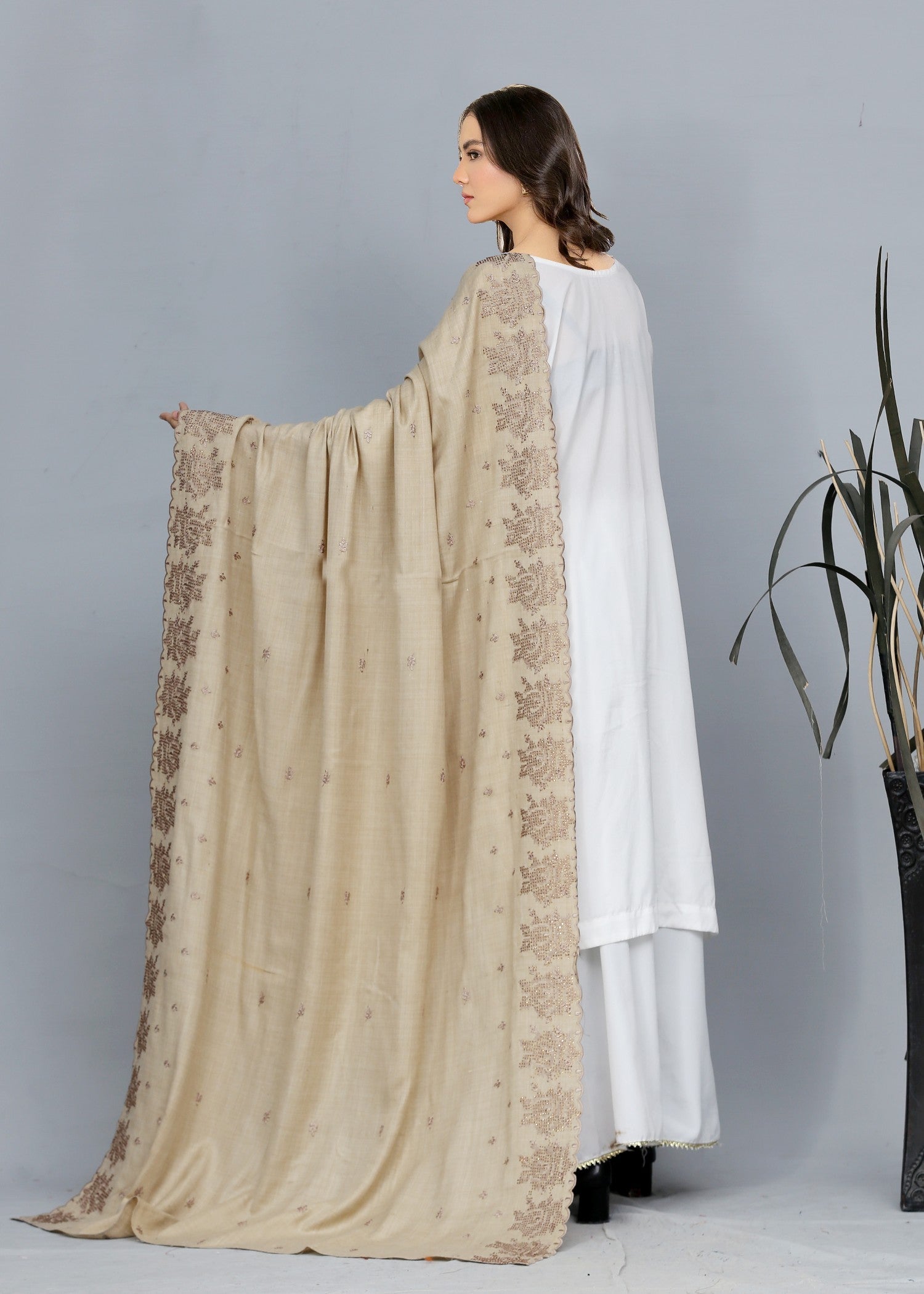 Shawl in Beige Color by - Trendy Women Shawl OVP8873