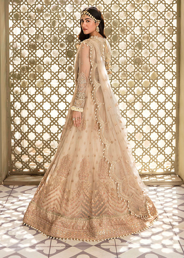 net Lehenga in Beige