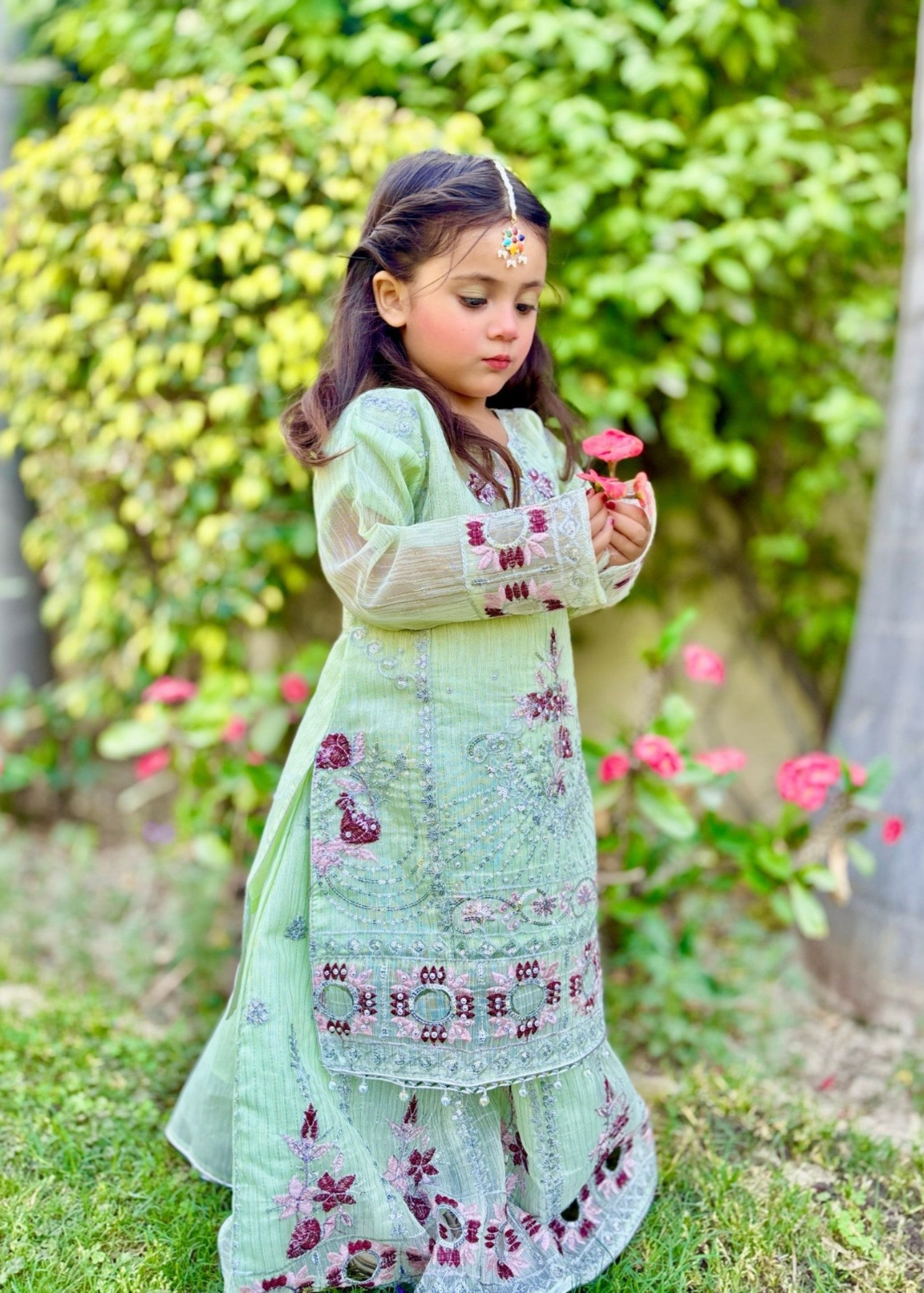 organza Lehenga in Tea green