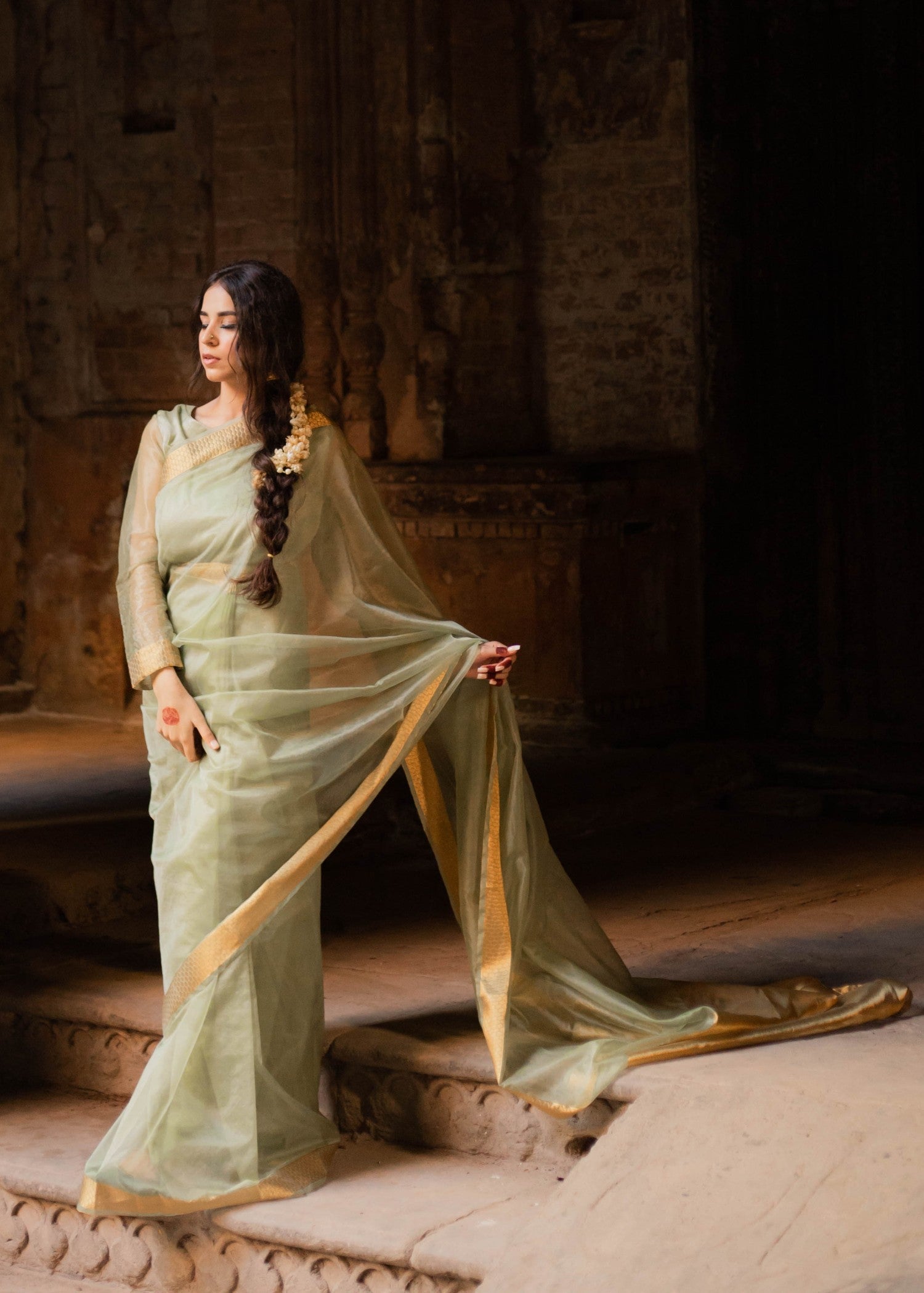 zari organza Saree in Sage green