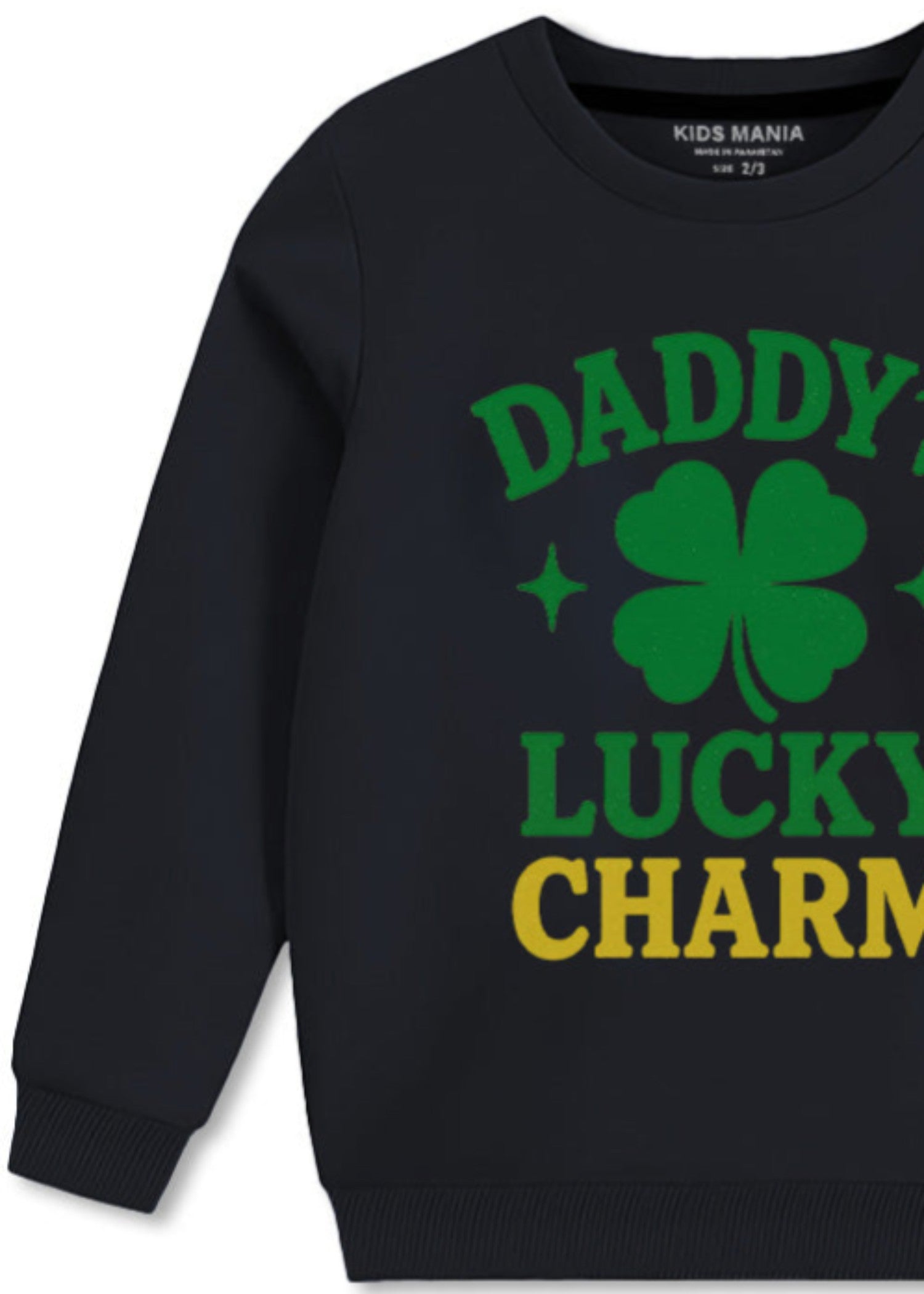 fleece Sweatshirt in Charcoal black