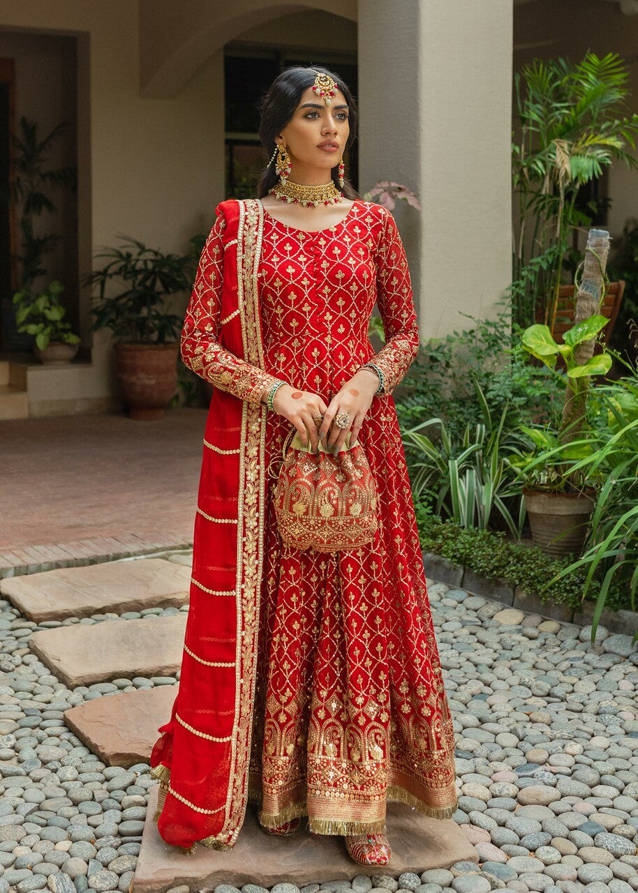 chiffon Pishwas in Red