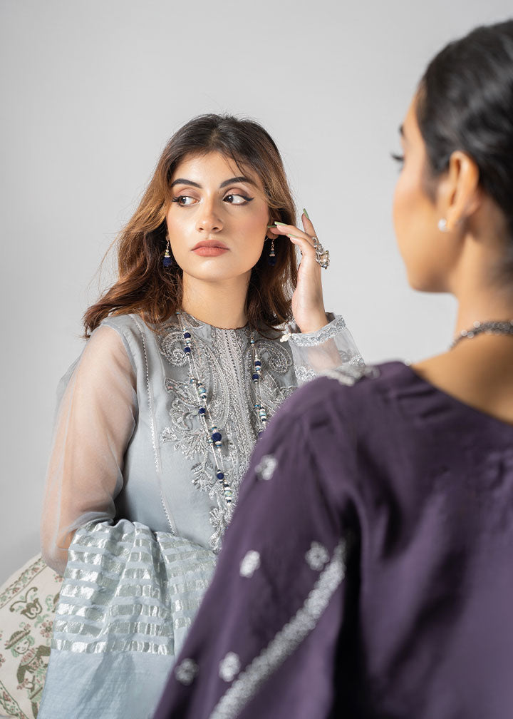 organza Kurta Set in Silver