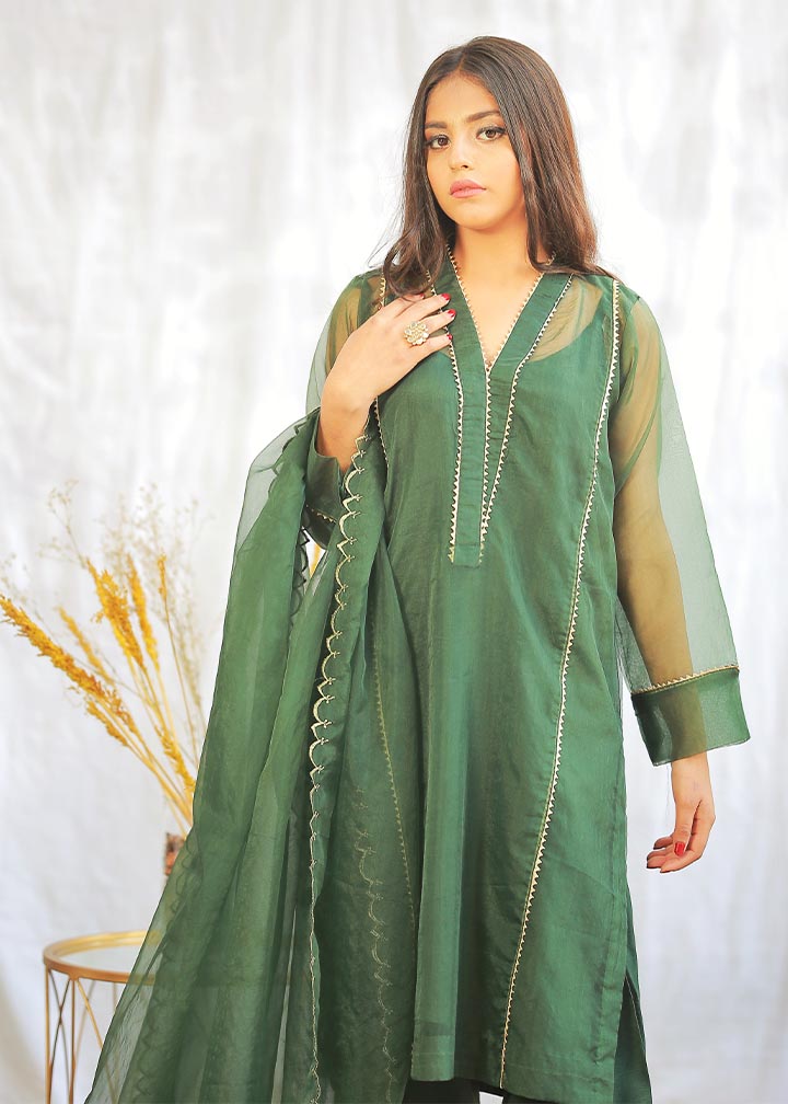 poly organza Kurta Set in Apple green