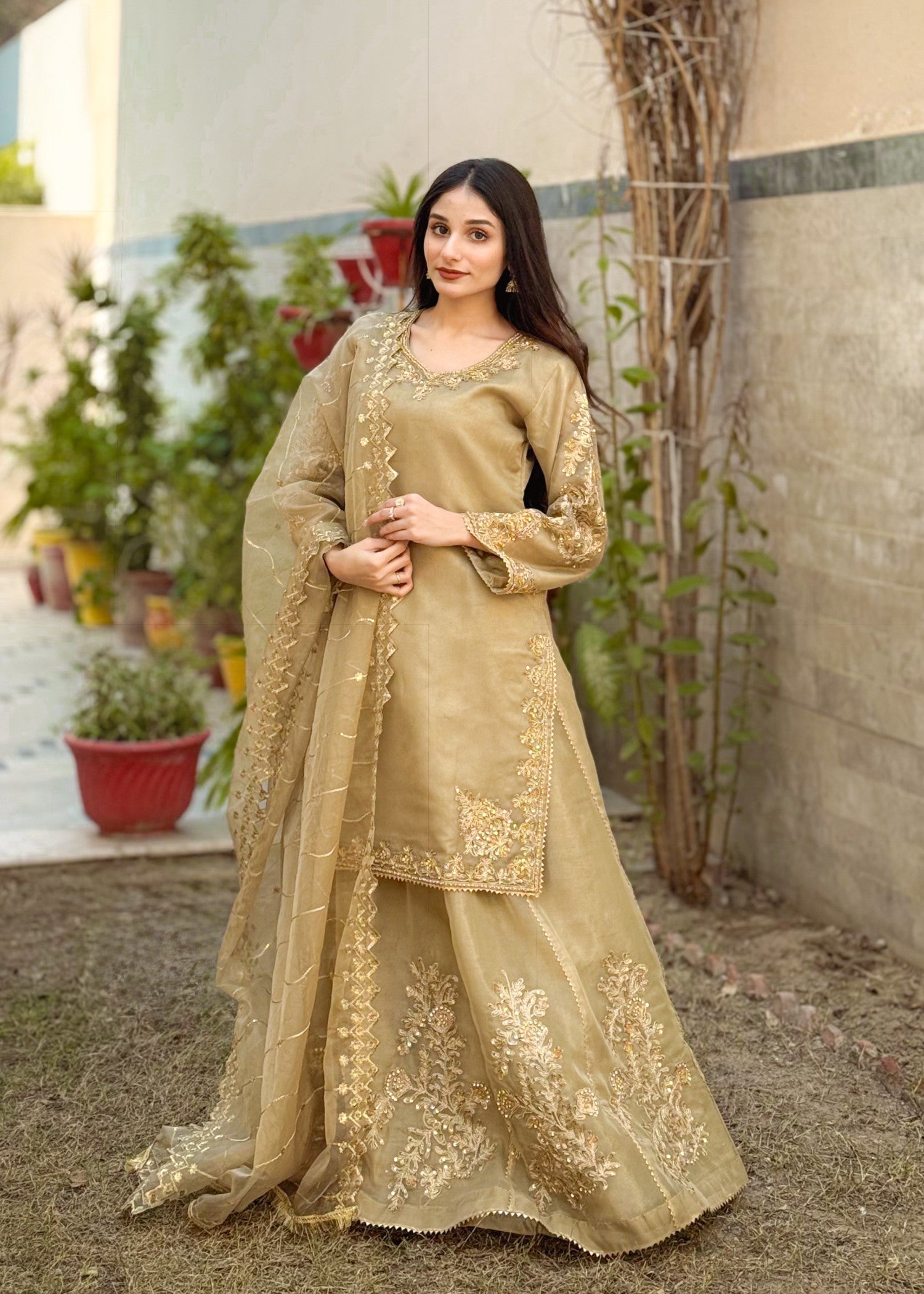 masuri Sharara in Golden brown