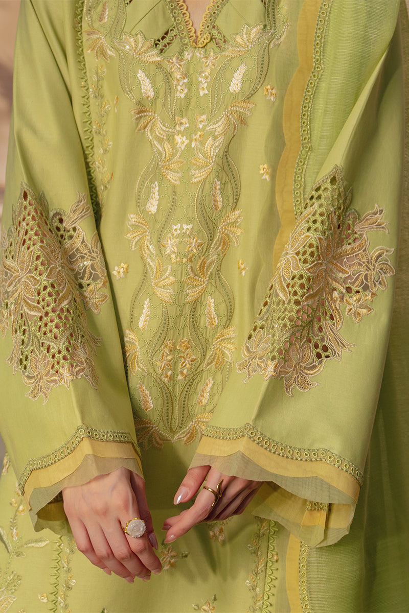 Luxury Lawn Eid Edit – Nadine