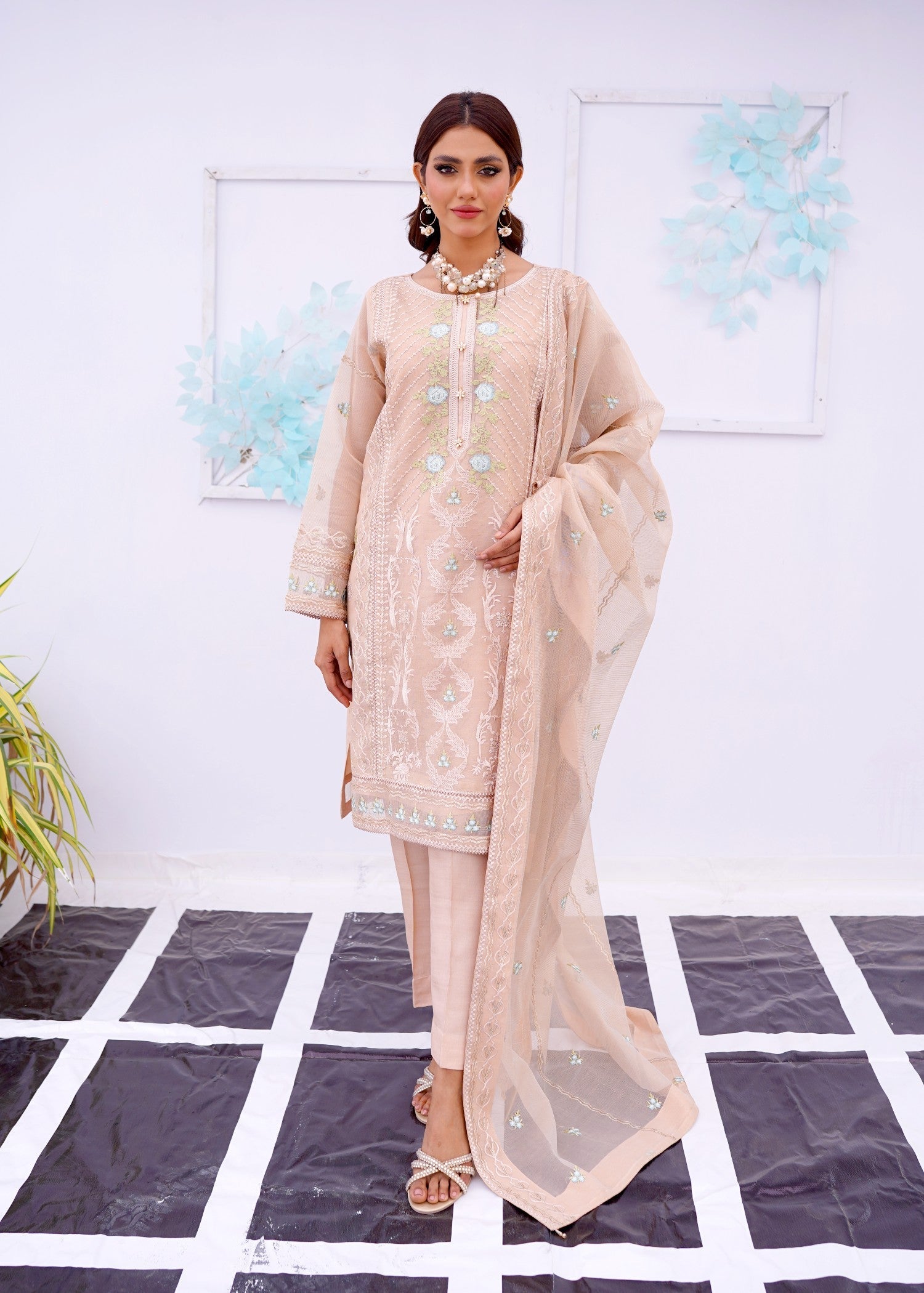 organza net Kurta Set in Beige