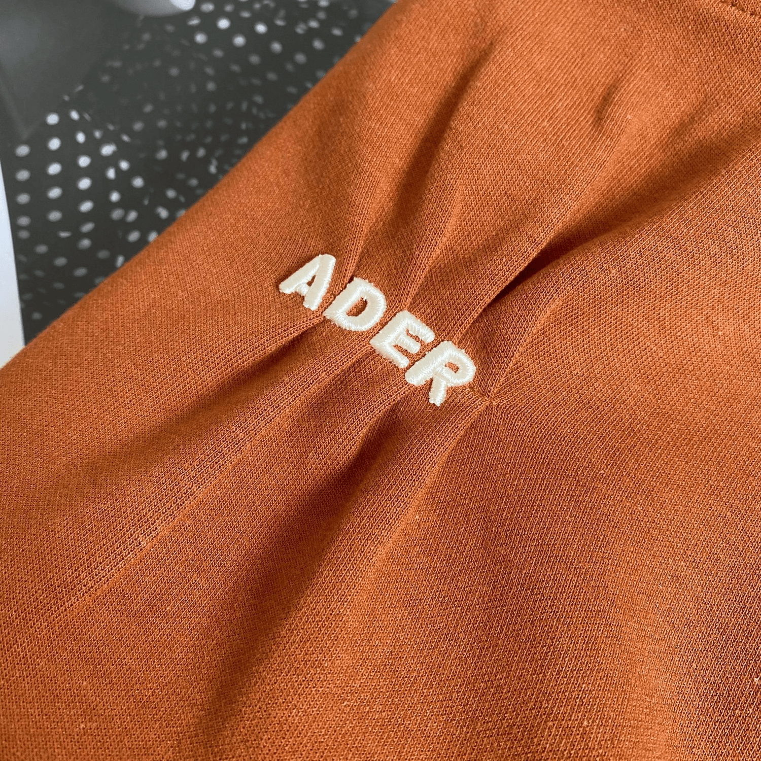 Personalized Chest Embroidered Small Letter Pleated Sweatshirt