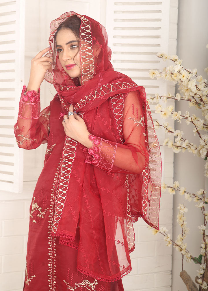 organza Kurta Set in Red