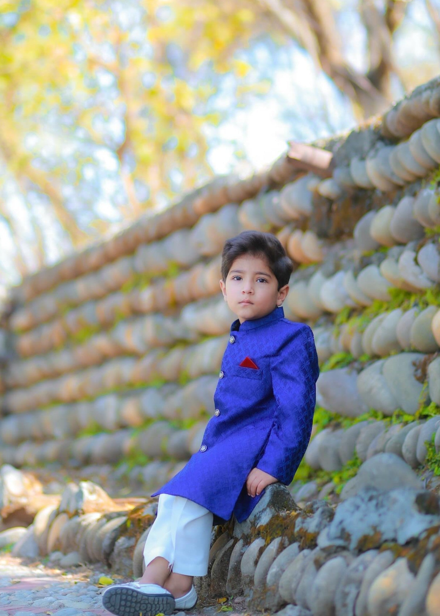 jamawar Sherwani in Blue