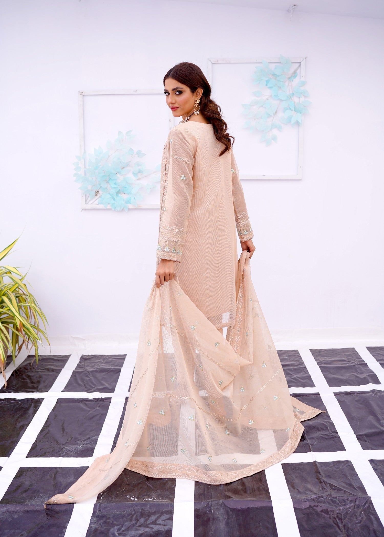 organza net Kurta Set in Beige