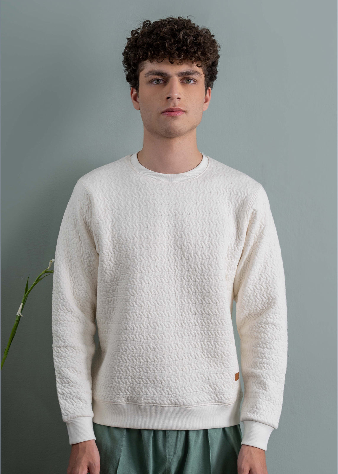 jersey knit Sweatshirt in Ivory