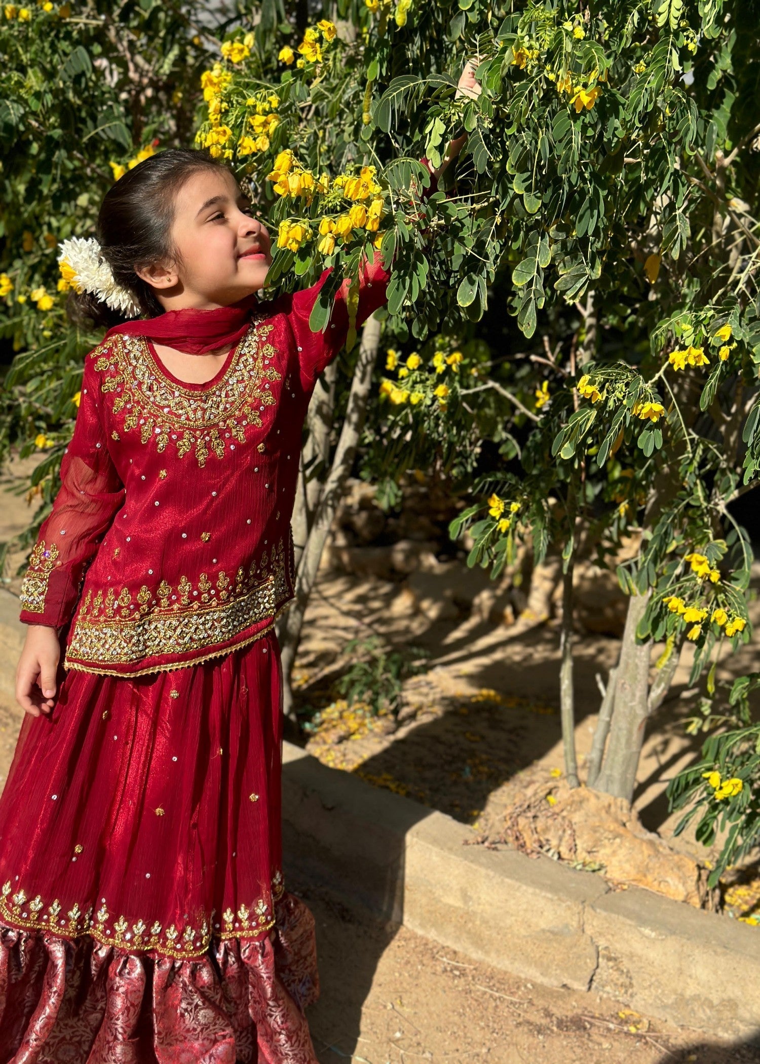 chiffon Lehenga in Maroon