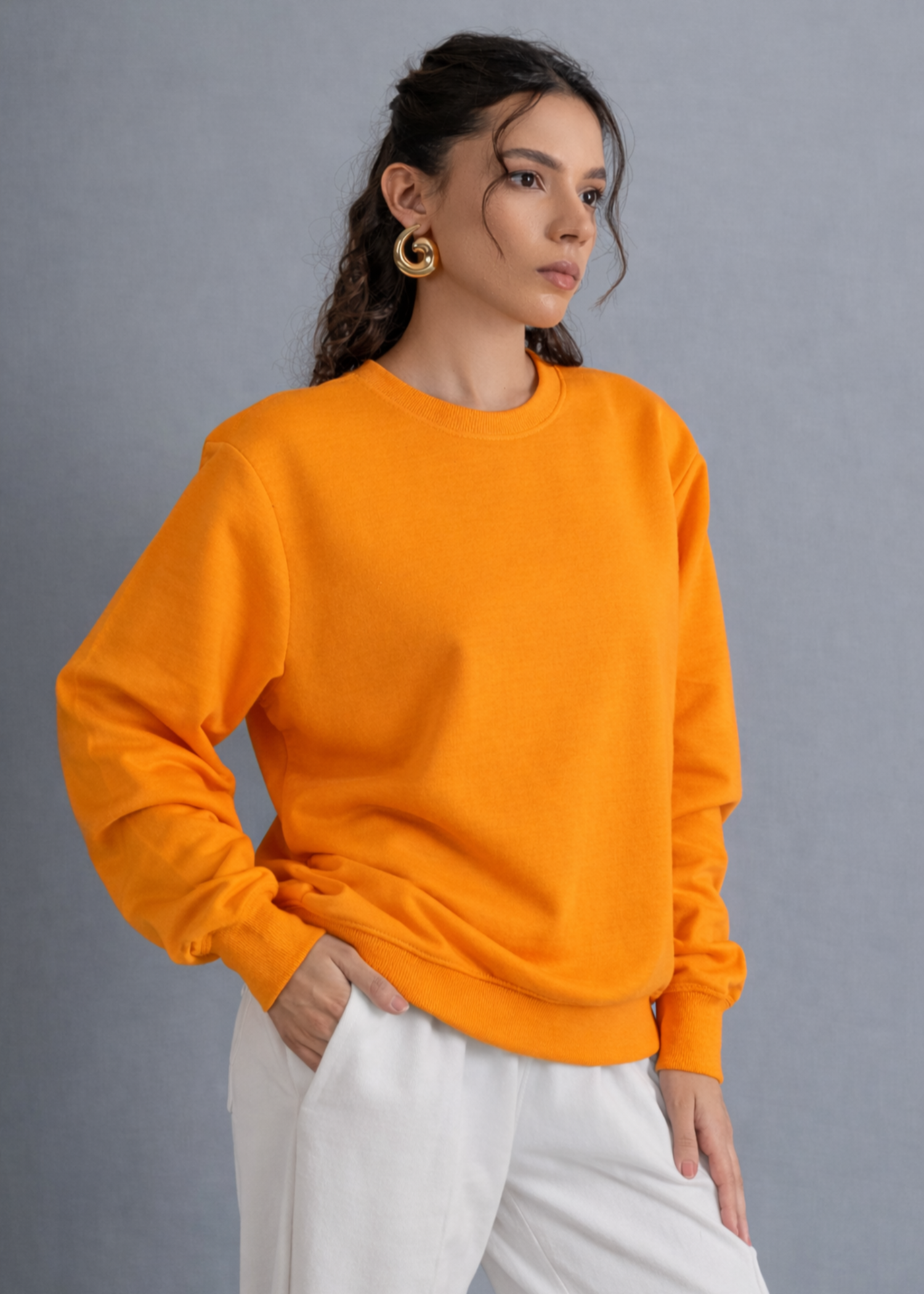 terry Sweatshirt in Orange