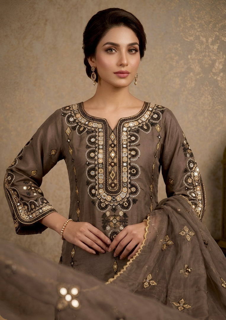 organza net Kurta Set in Mocha brown